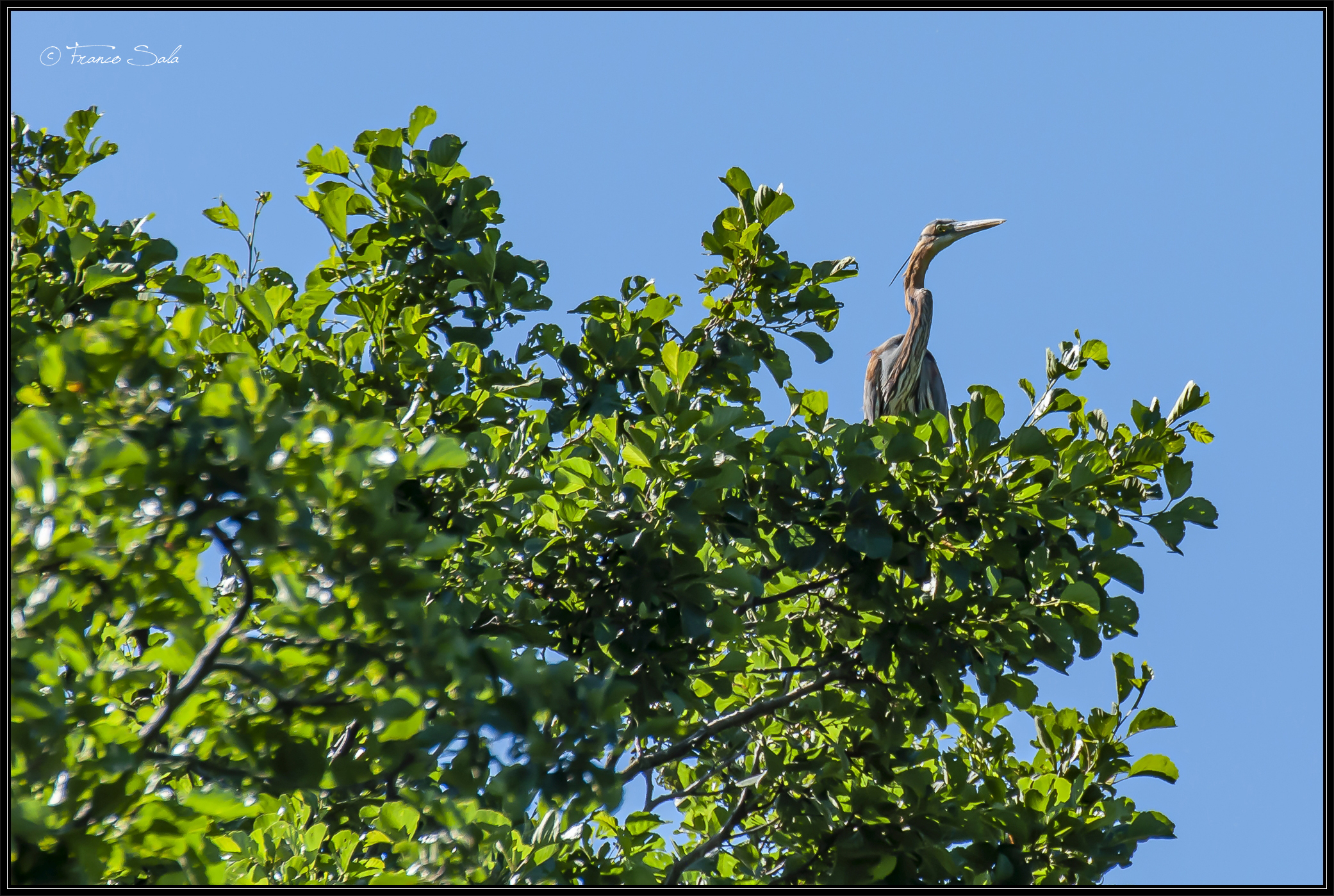 Celpenchio's Garzaia