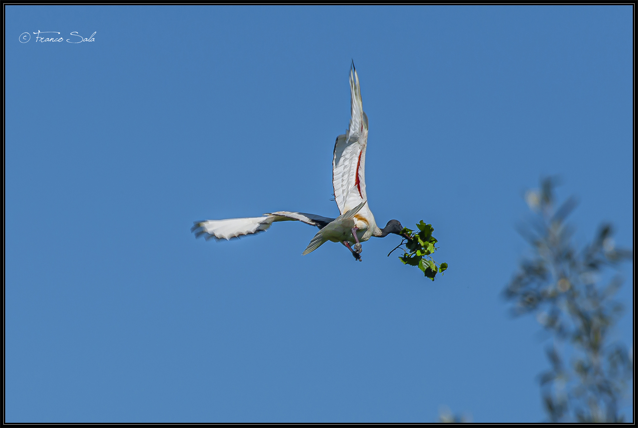 Celpenchio's Garzaia