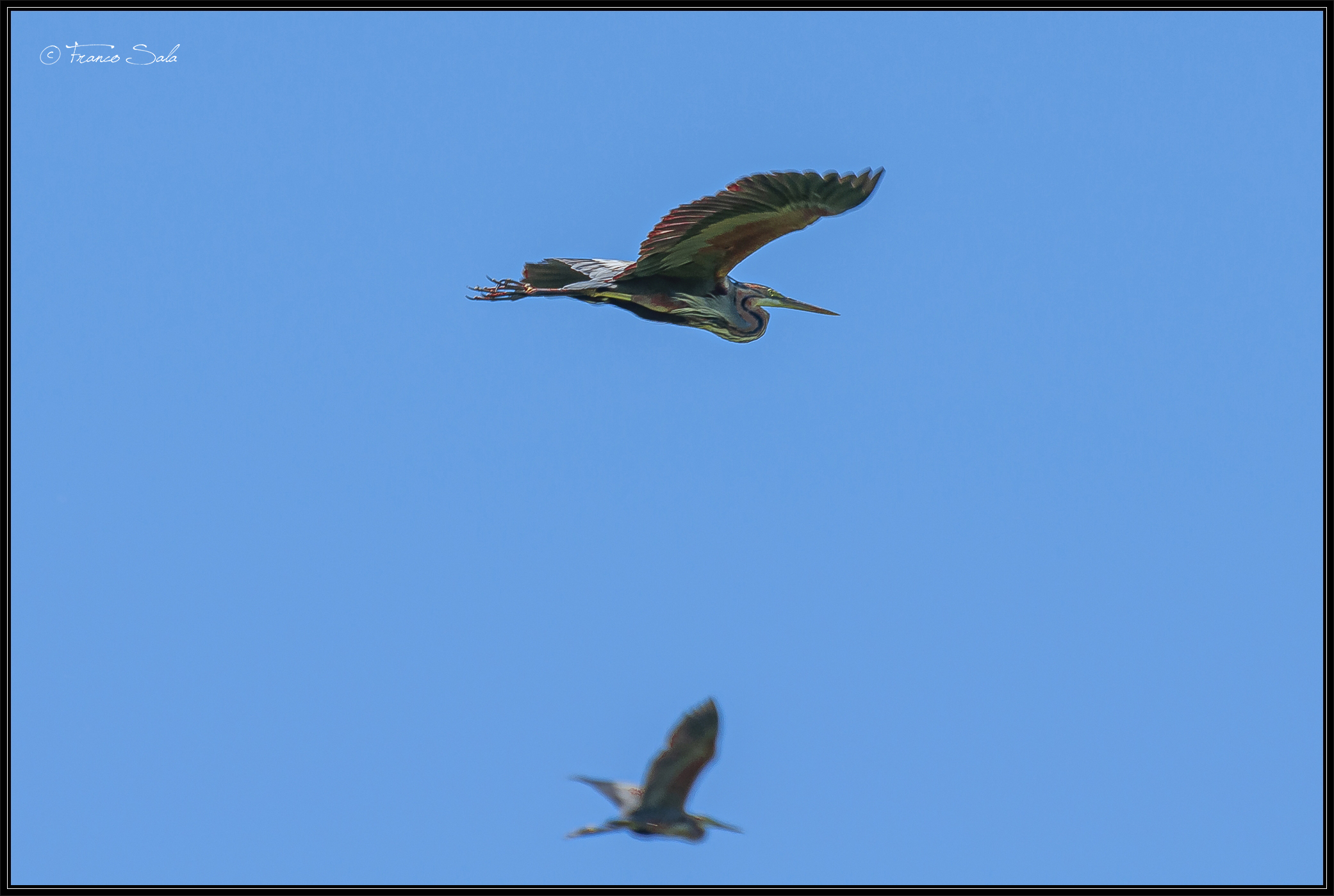 Celpenchio's Garzaia