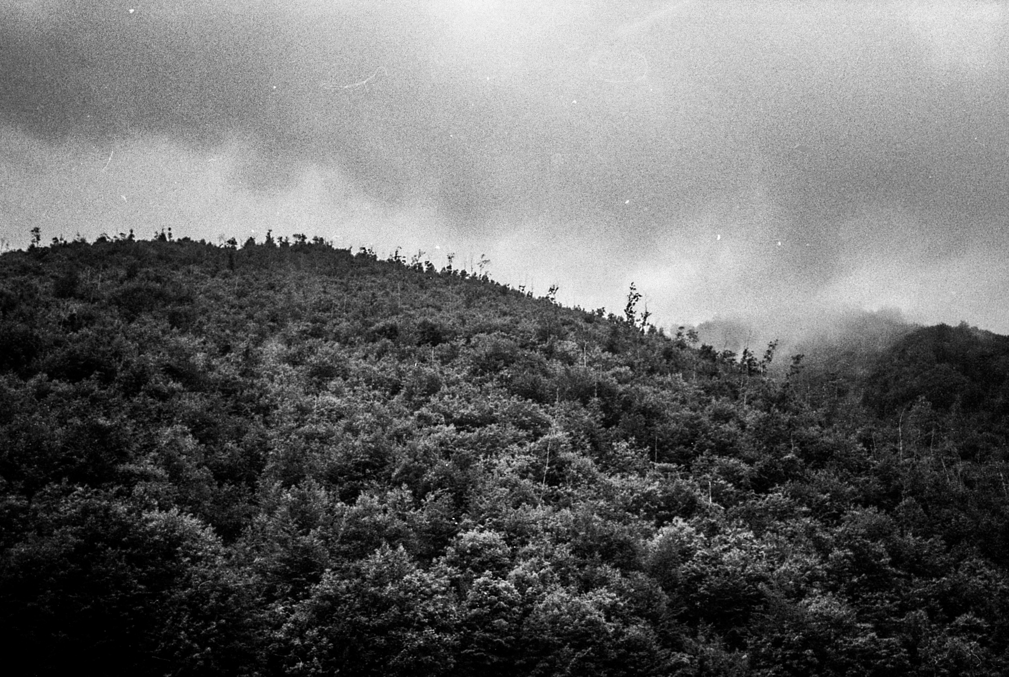 I was born not to be here