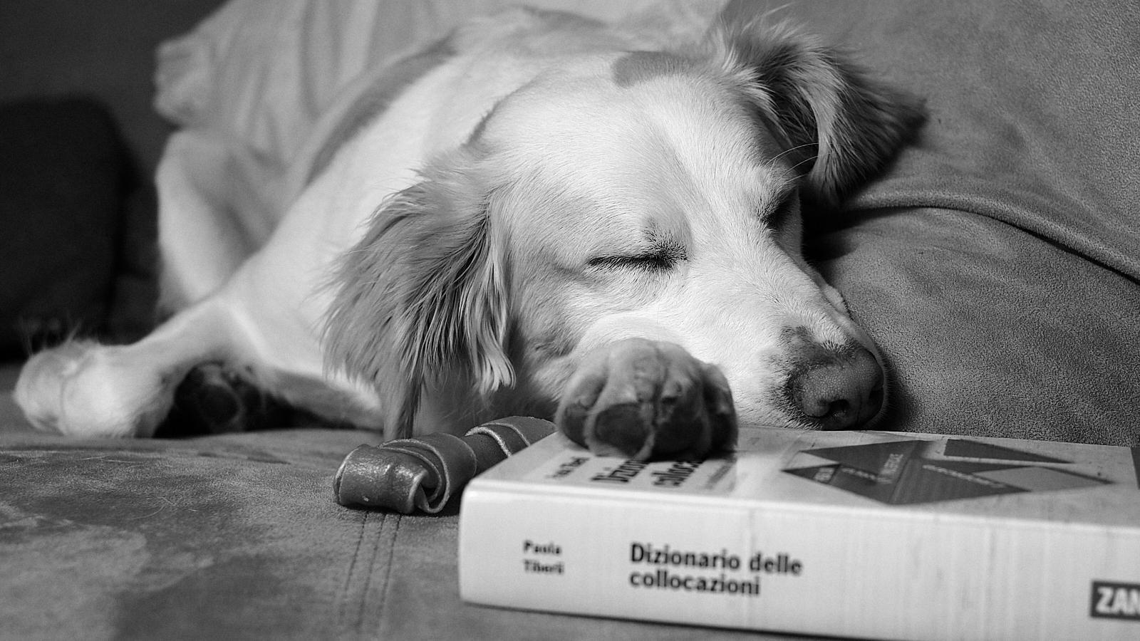 The studio. All the time!