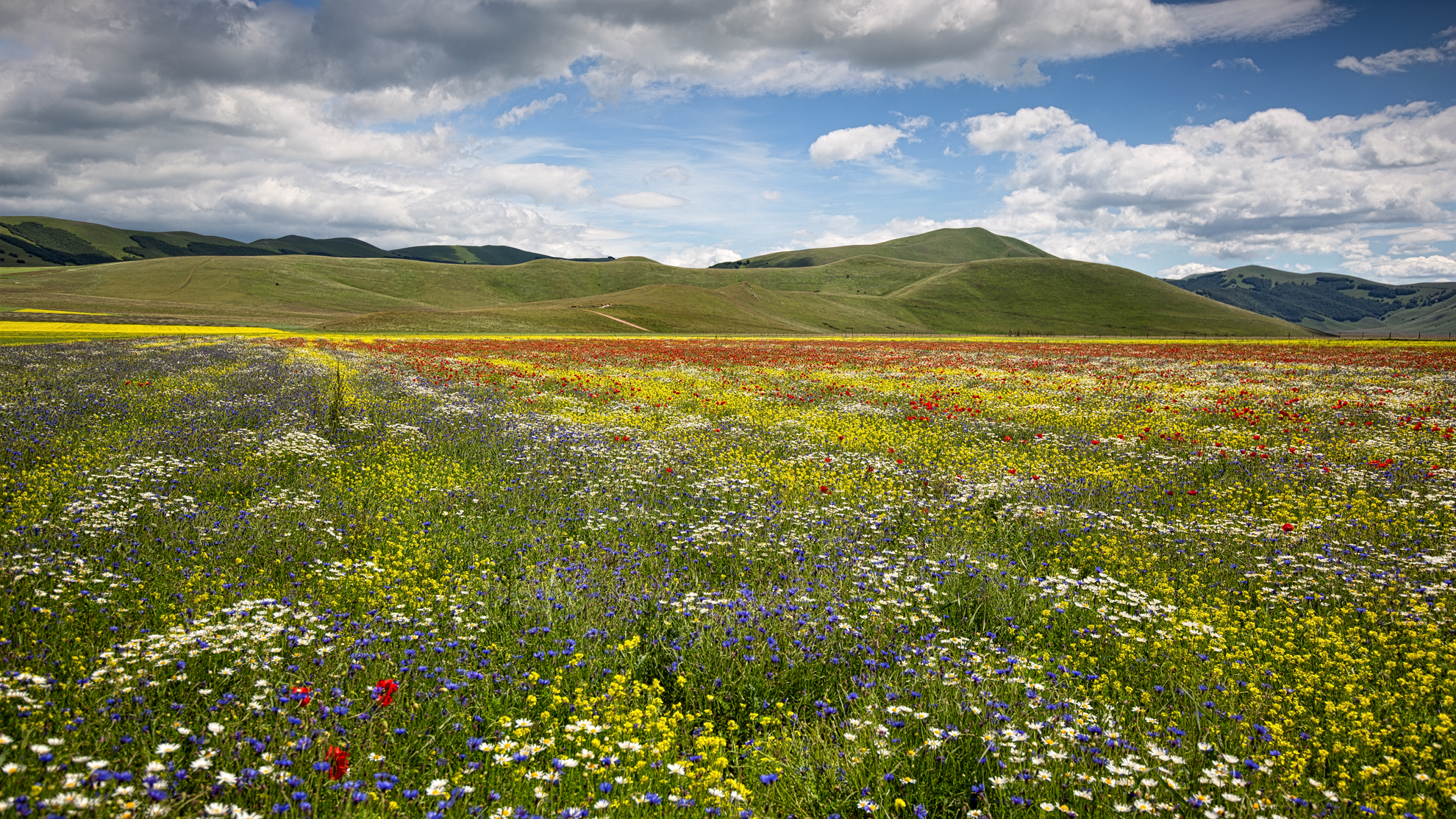 Castelluccio 22/06/2020