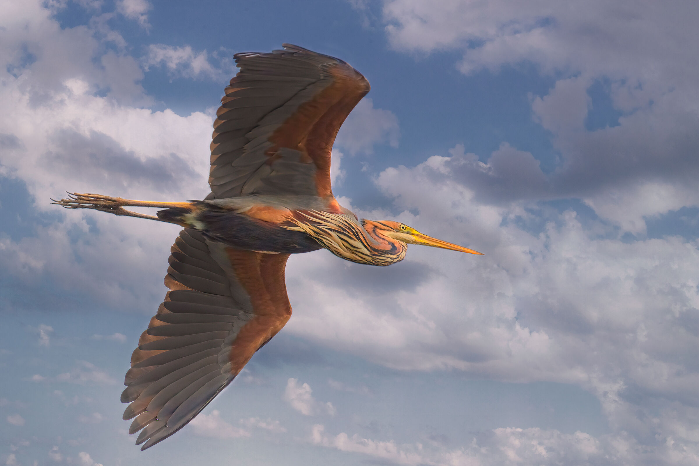 Rosso in volo sul Lao Superiore (mn)