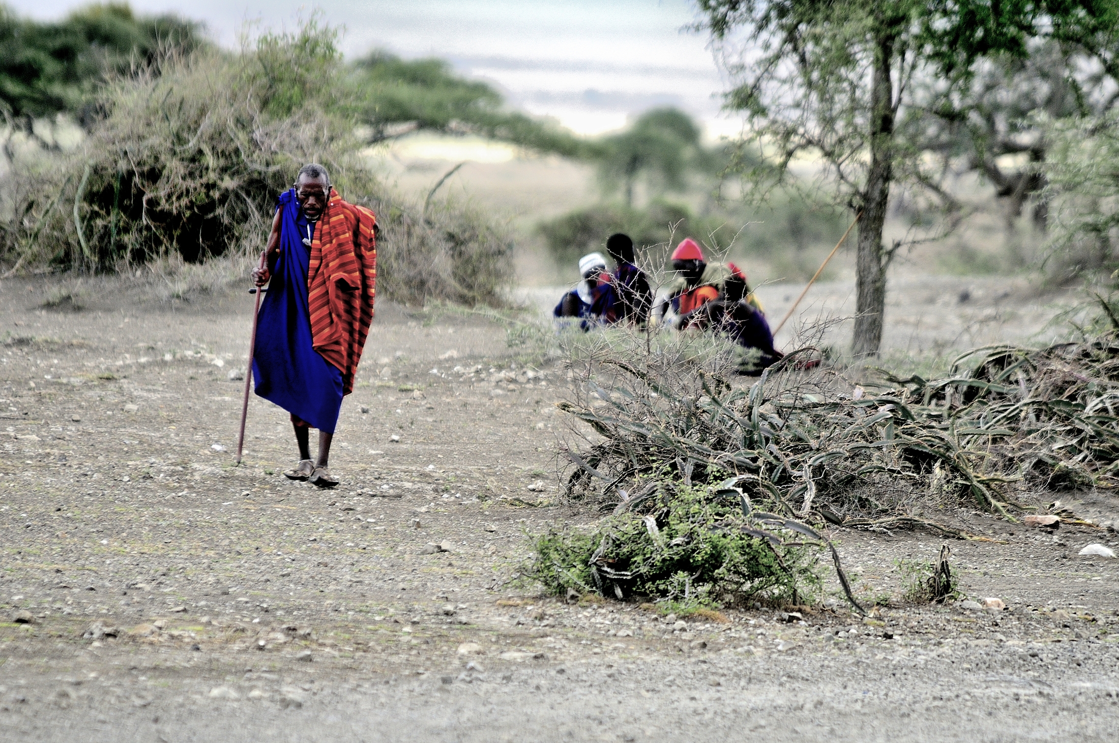 Tanzania 2011- Masai
