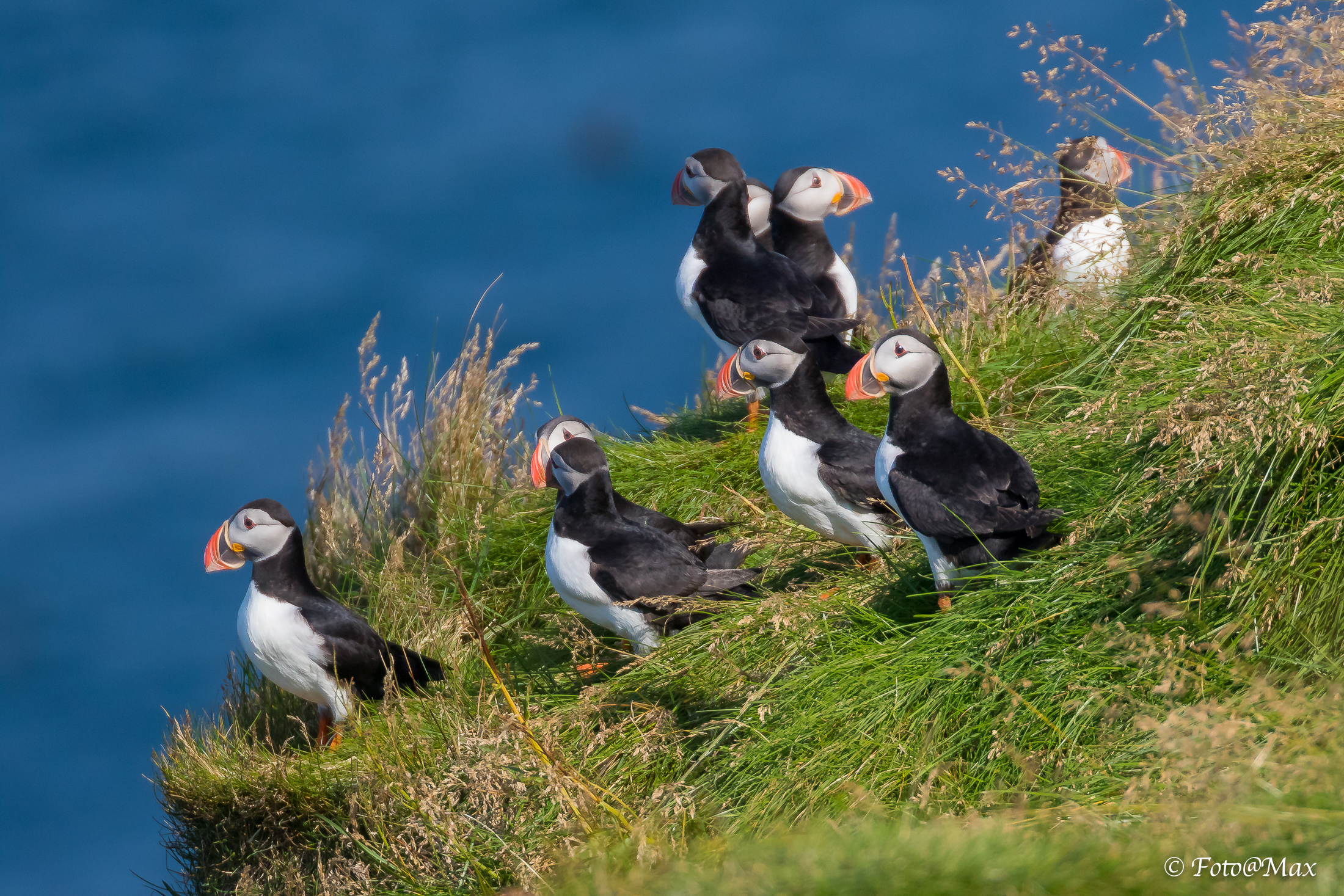 chi parte per prima ?