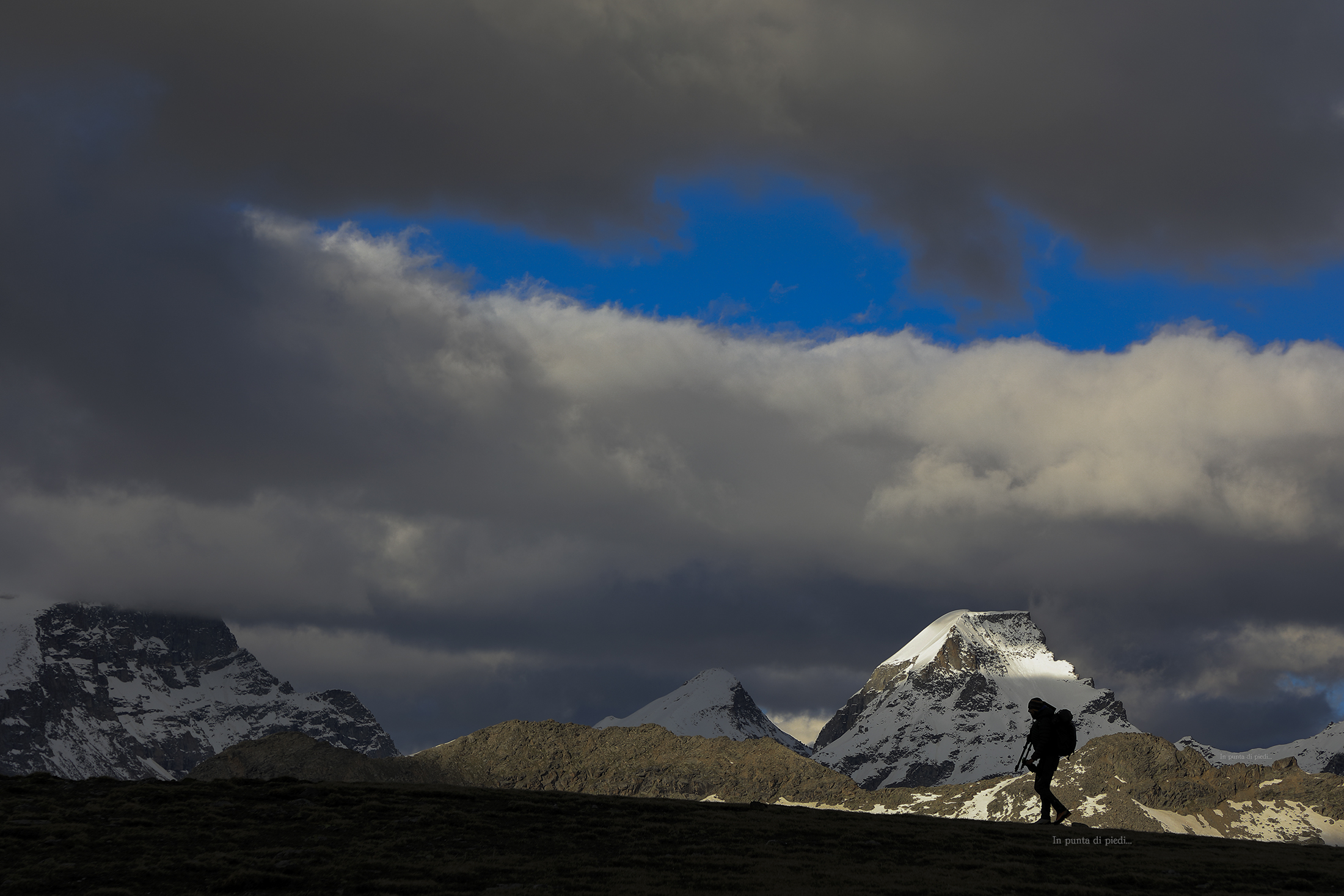 Un Paradiso (Gran) di Biodiversità...