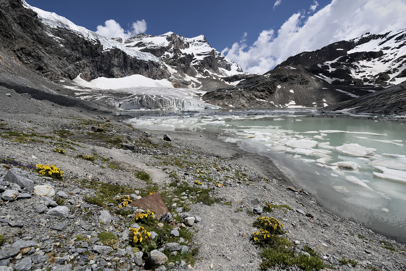 Lago glaciale Fellaria