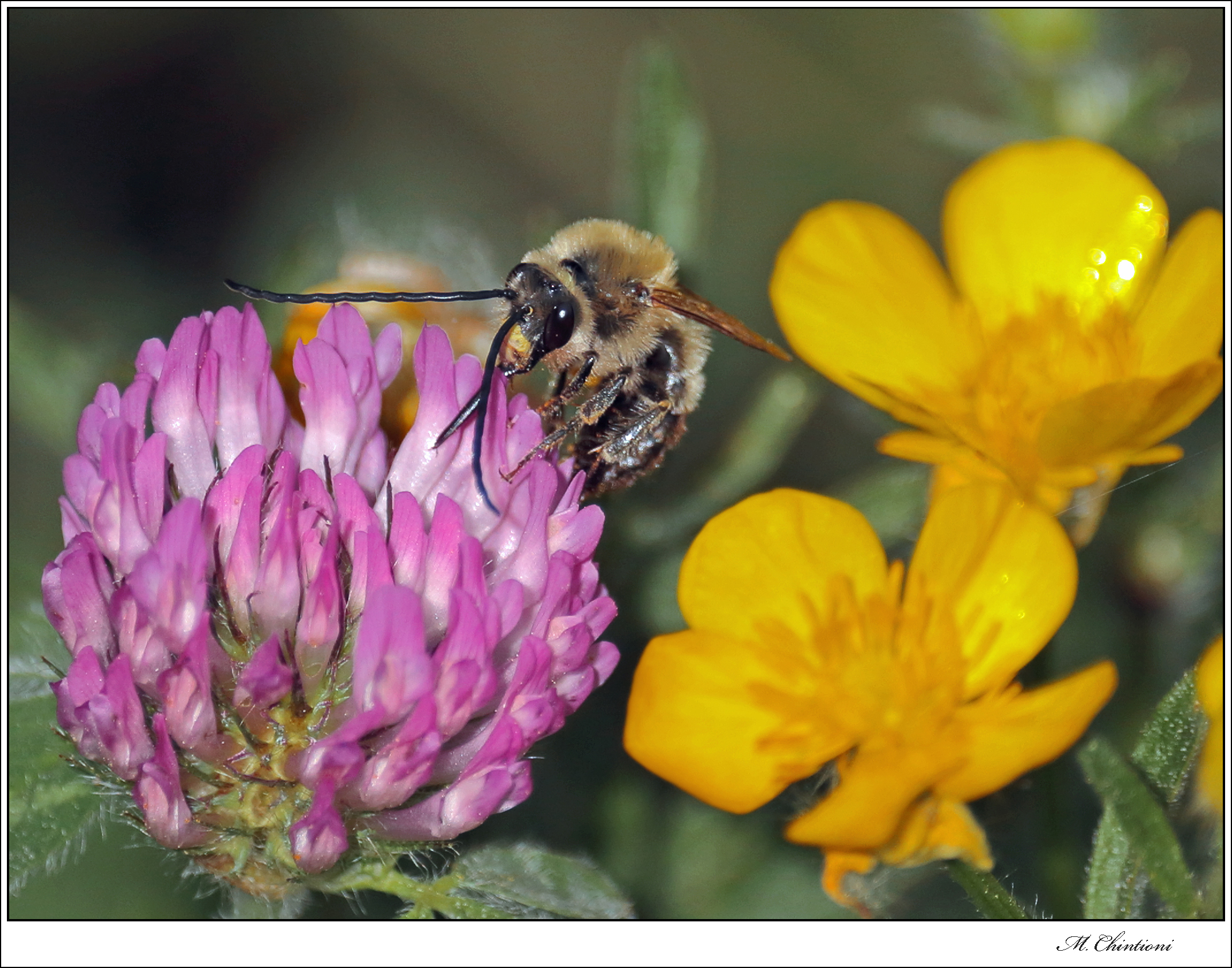 .... facciamo il Pieno