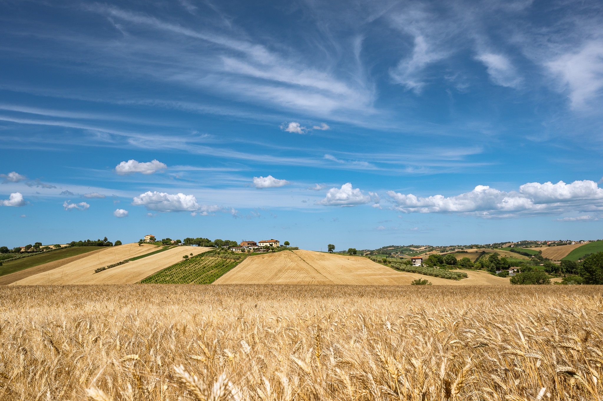 Campagna Marchigiana
