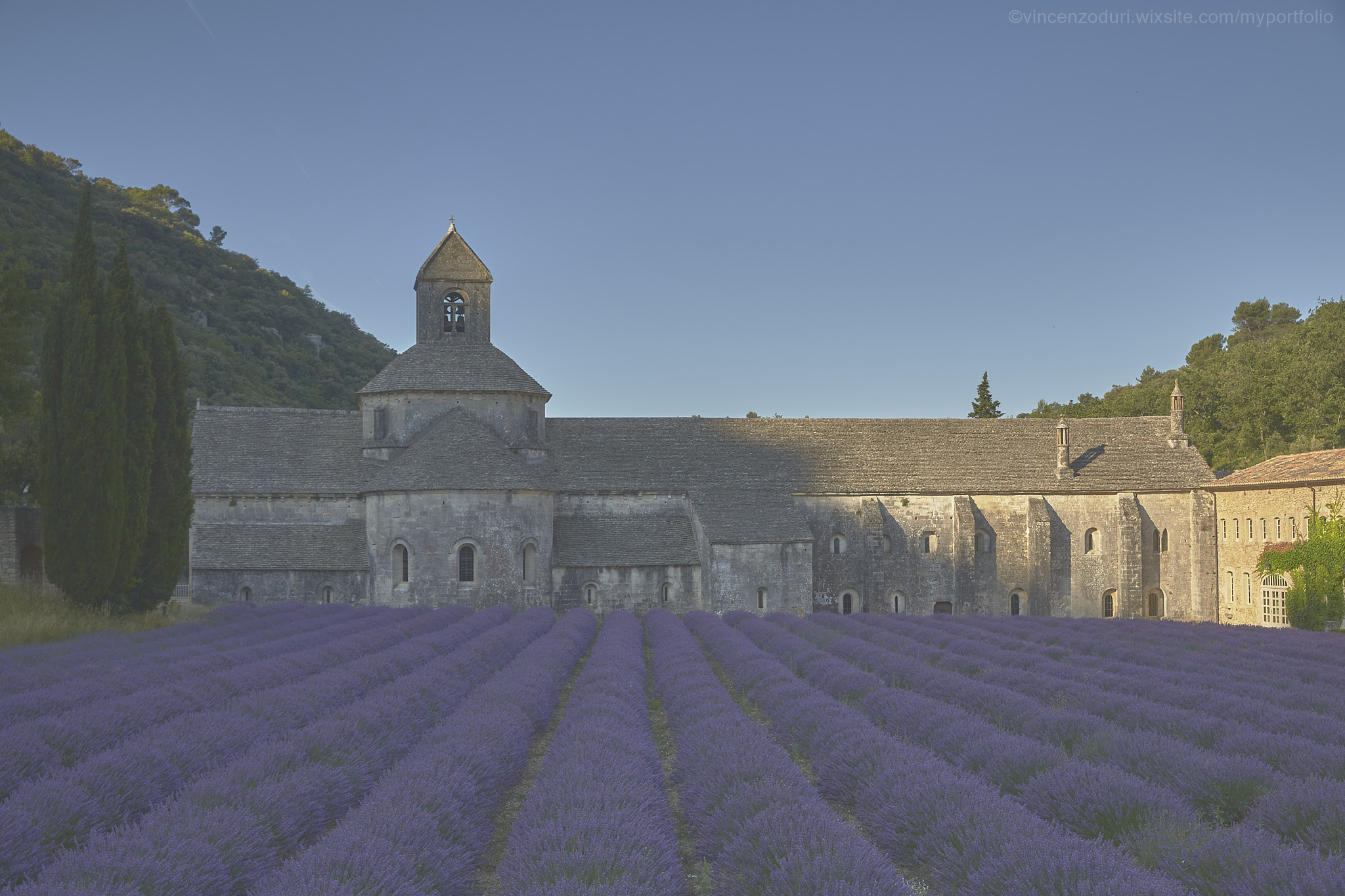 Prime luci a Sénanque