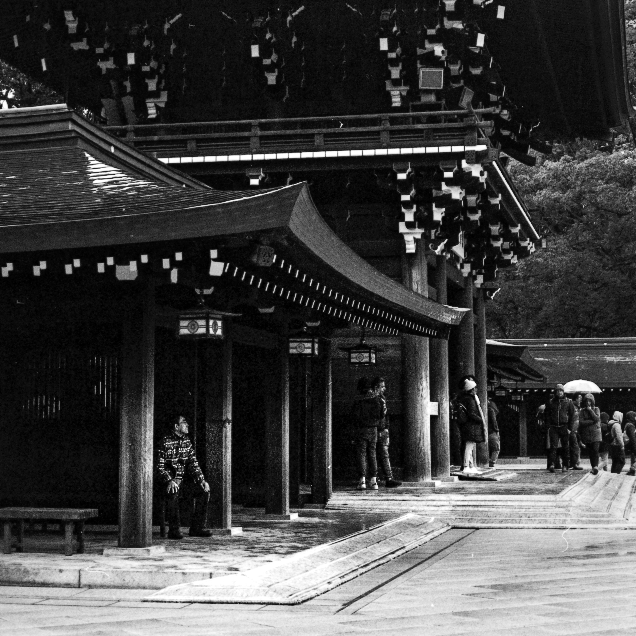 Aspettando la fine della pioggia...