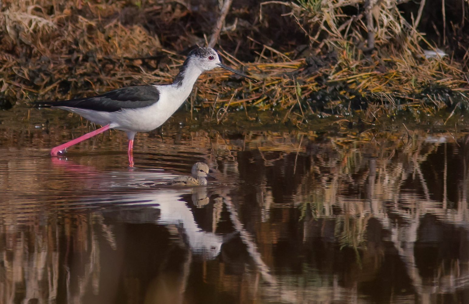 At the first exit, under close surveillance