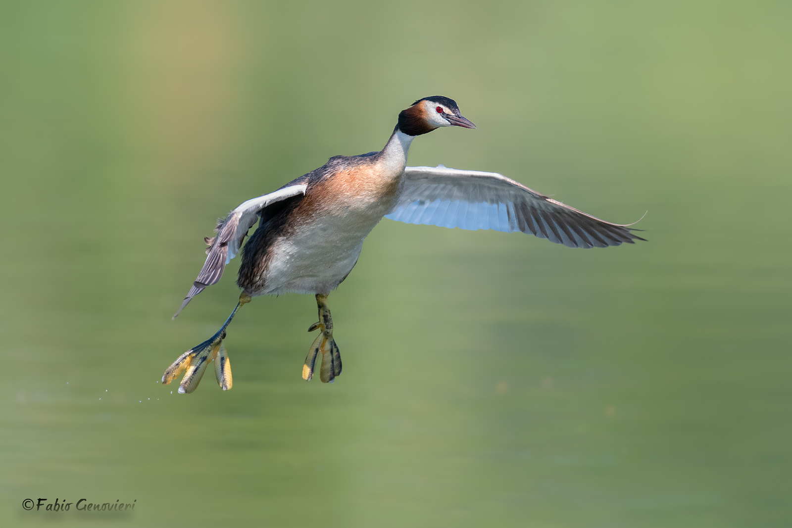 Major Svasso on landing