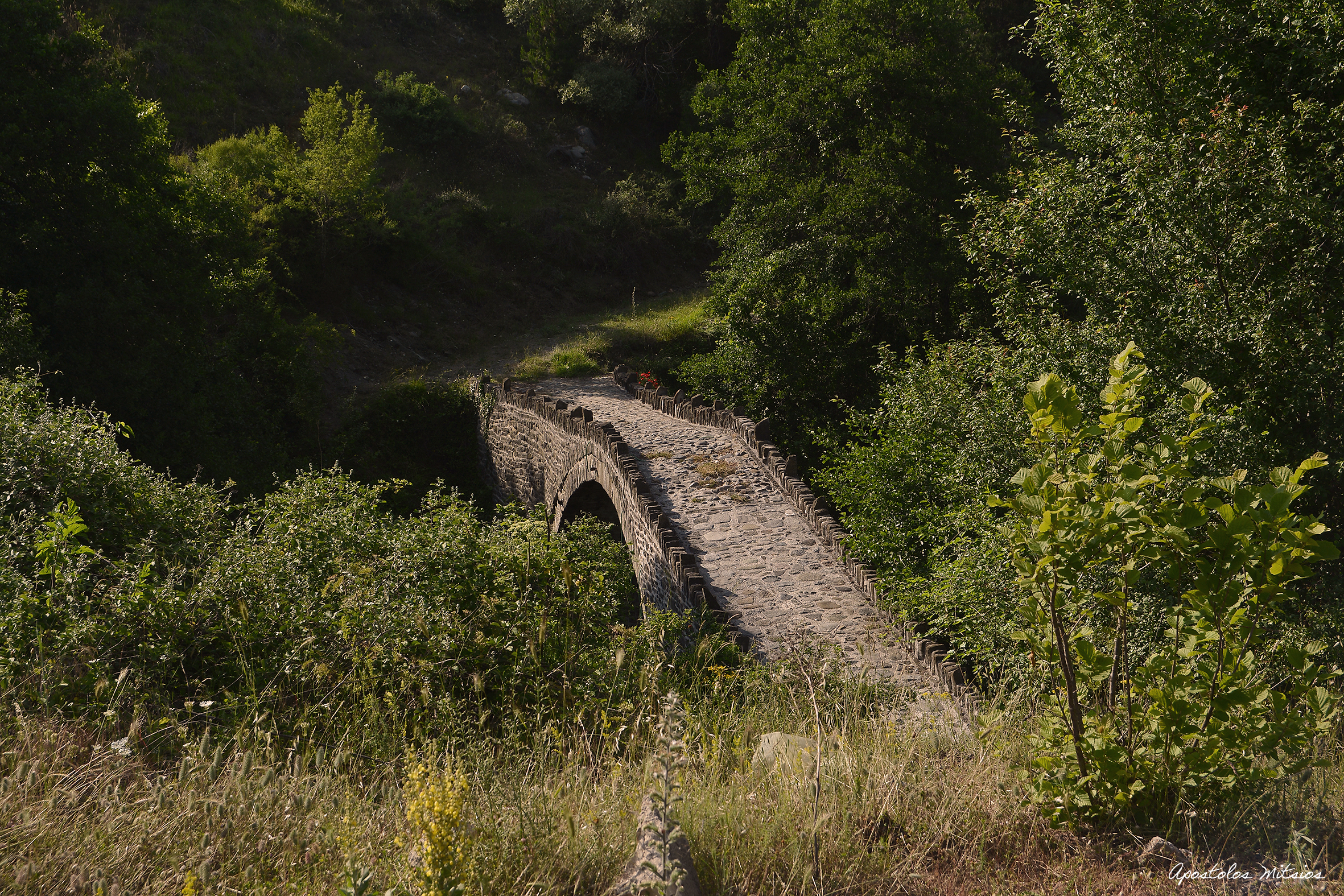 Ponte sull'acqua calma