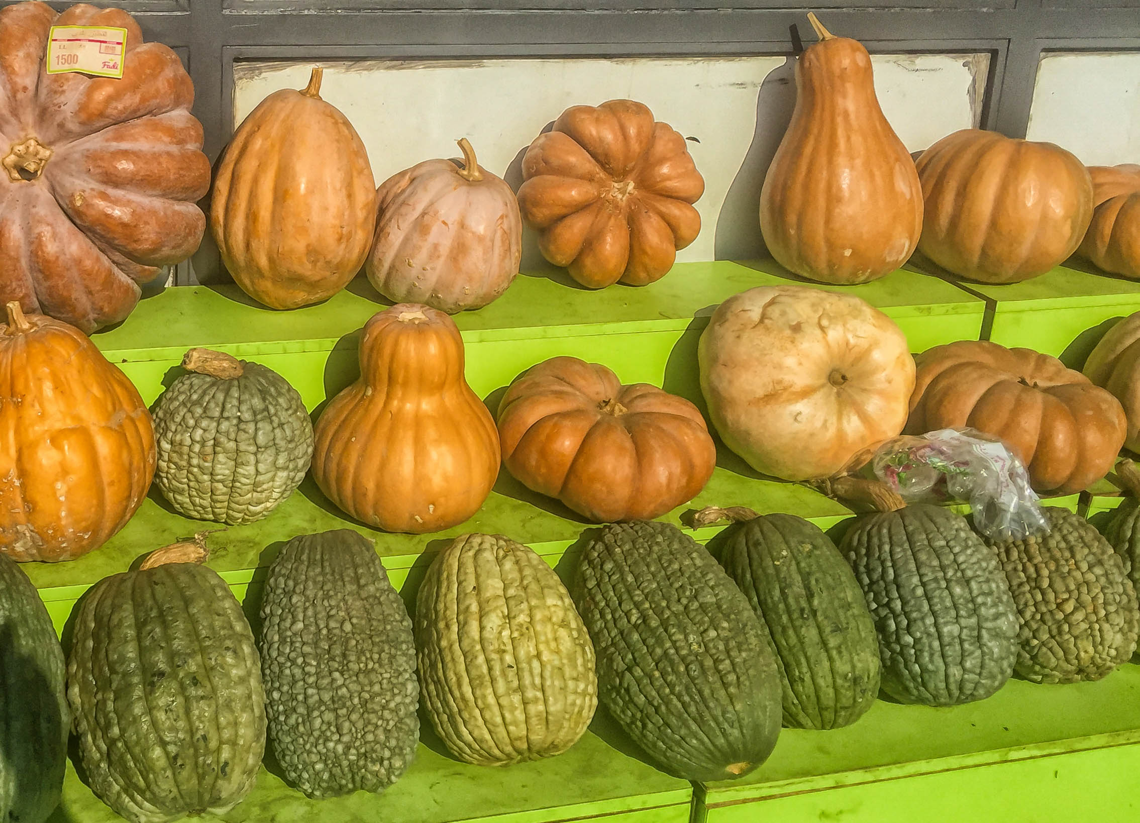 Pumkins presso Fadi's Shop