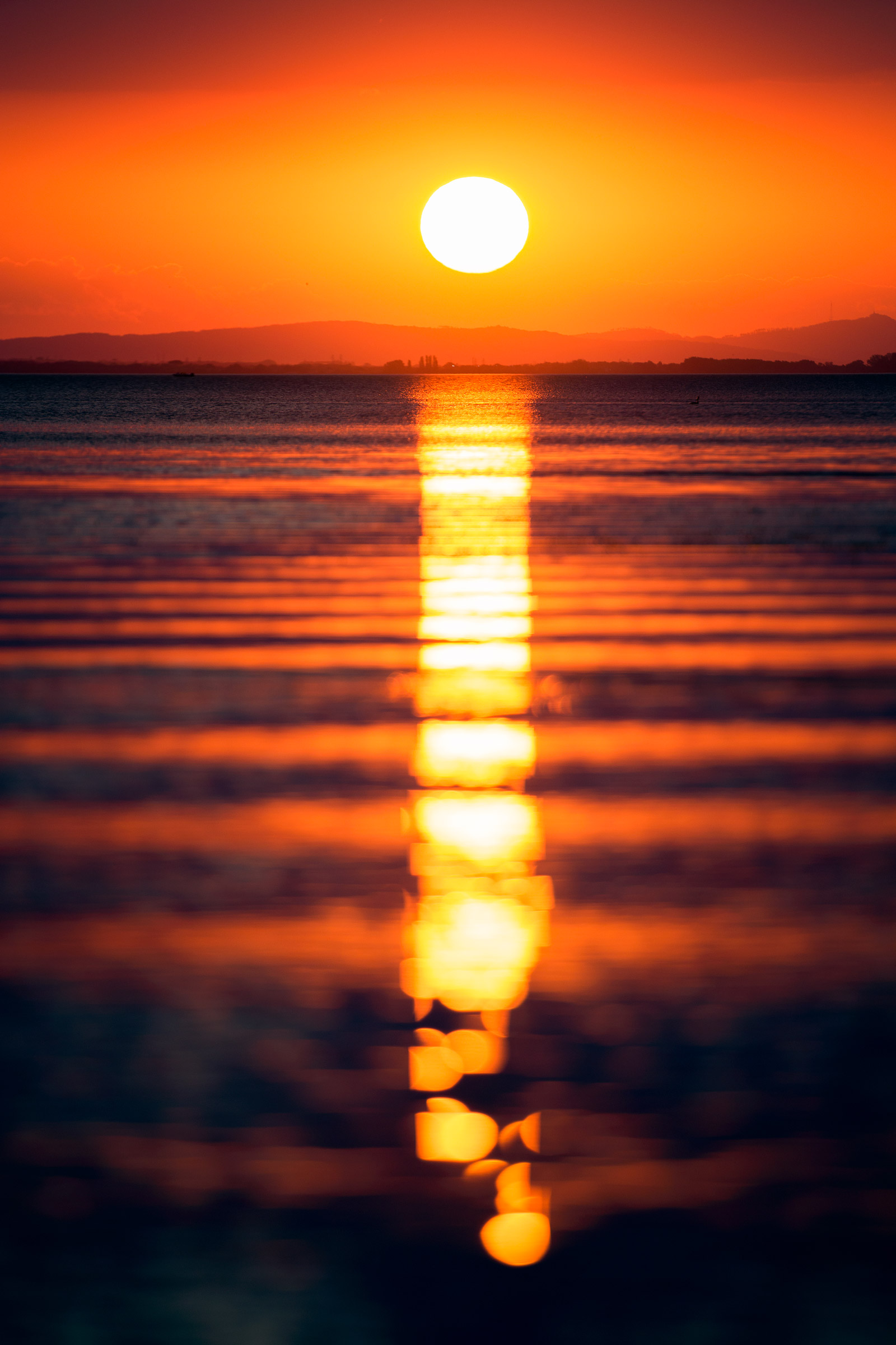 Ritorno sempre da te