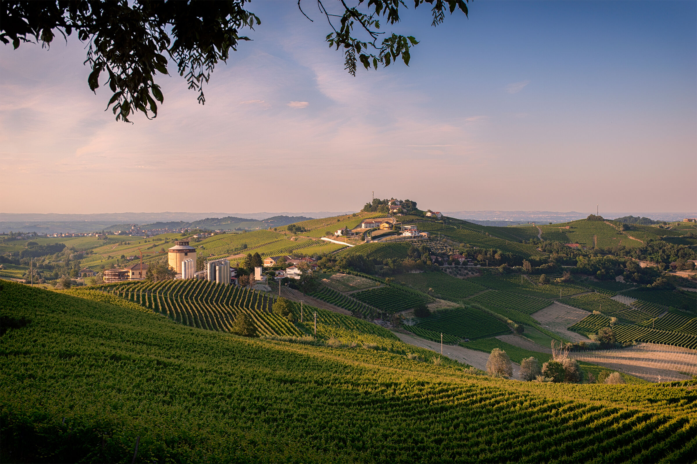 Colline astigiane