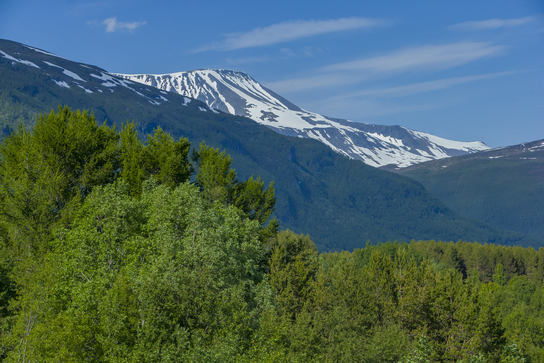Paesaggio dalla Norvegia