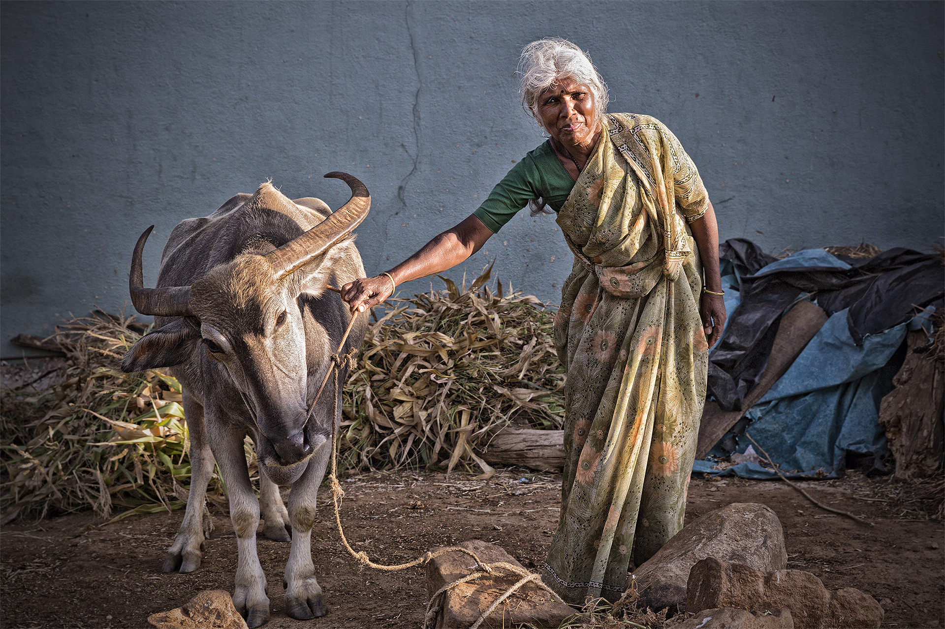 La donna e il suo bufalo