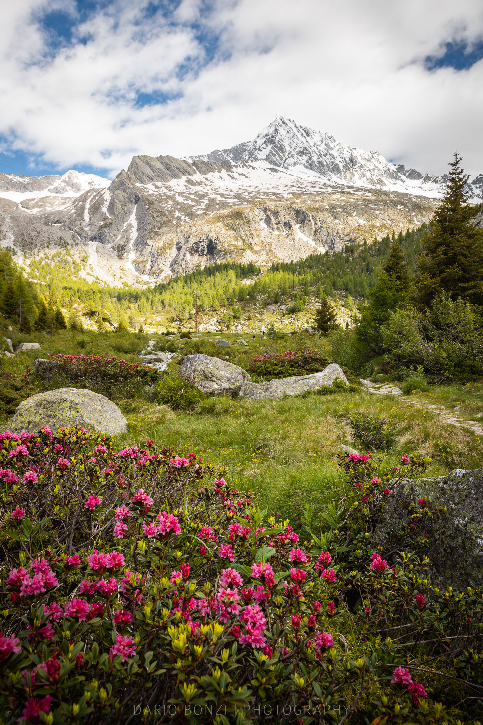 Primavera in Val d'Avio