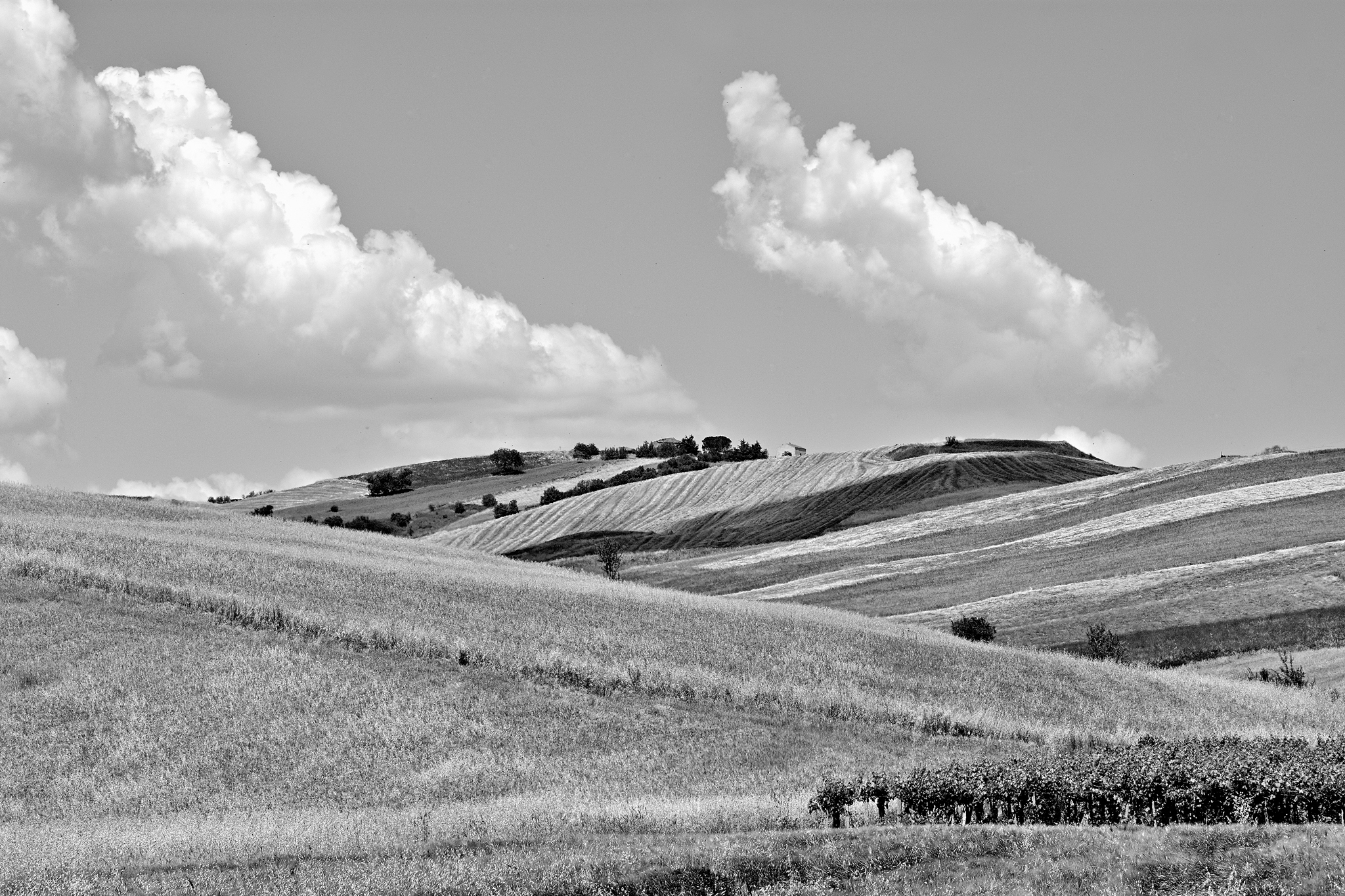 Tutti i colori della terra
