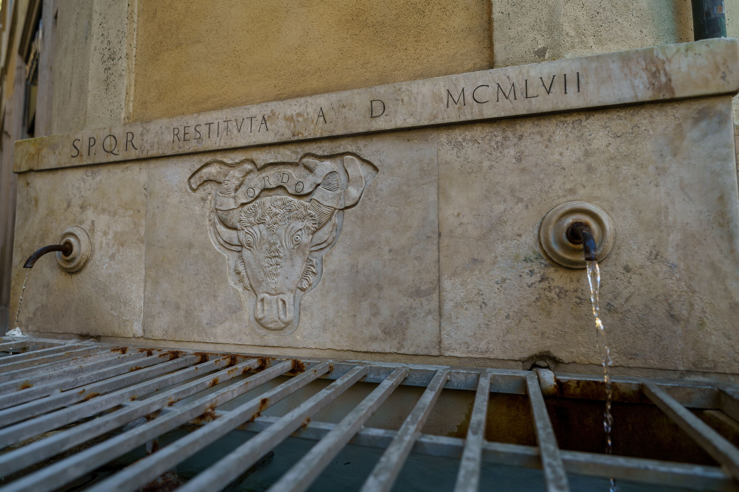 the buffalo fountain