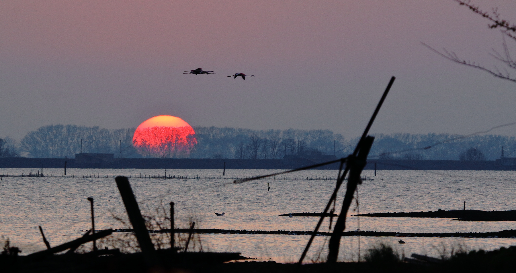 sunset in the valleys of Comacchio