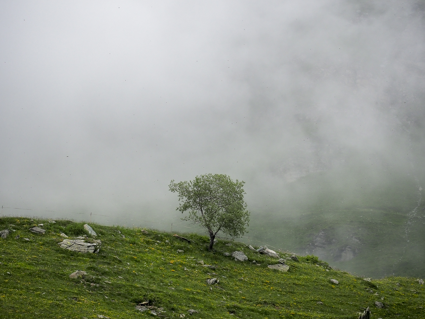 Mist on the Alpe Selleries