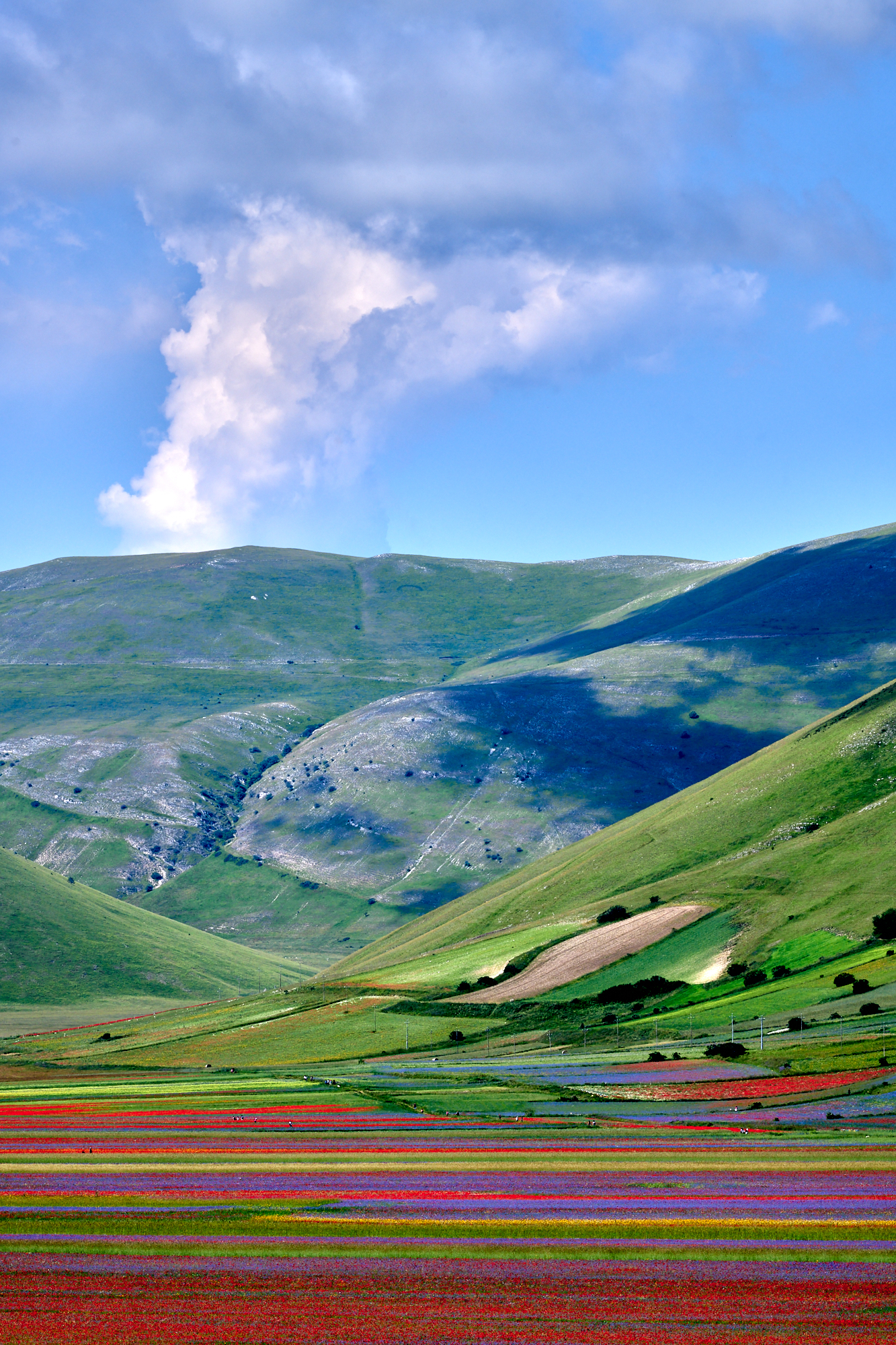 Castelluccio 2020