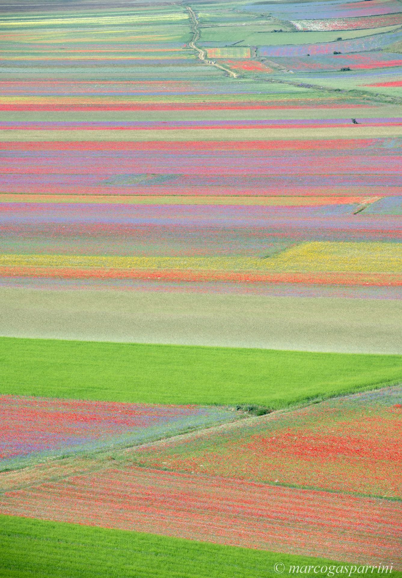 Castelluccio dii norcia
