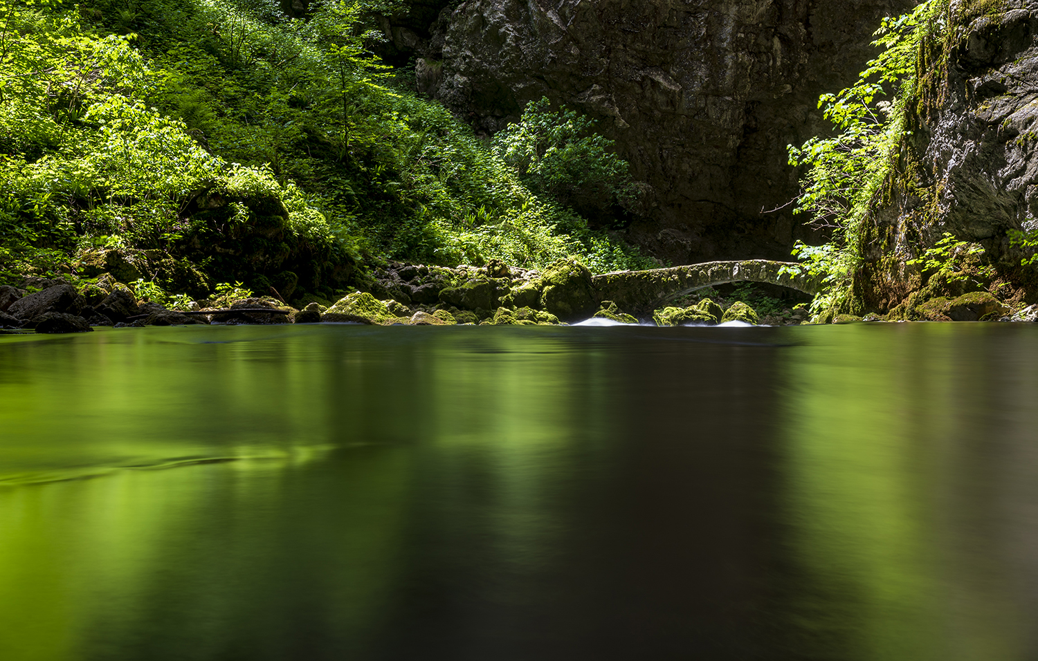 Il ponte sul Rio dei gamberi
