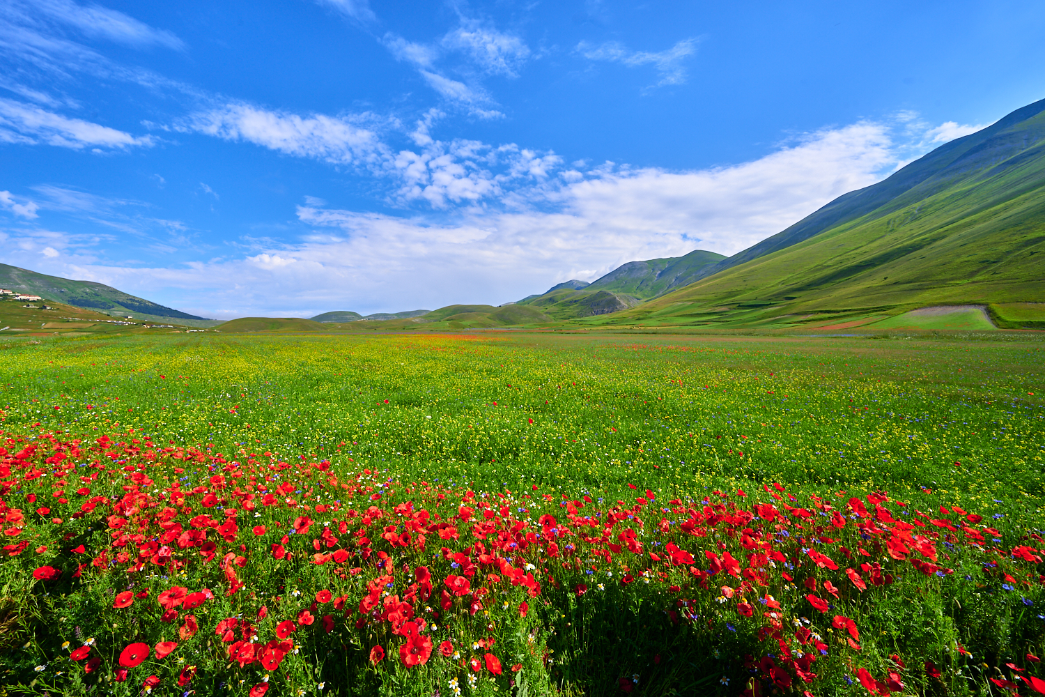 Castelluccio 2020