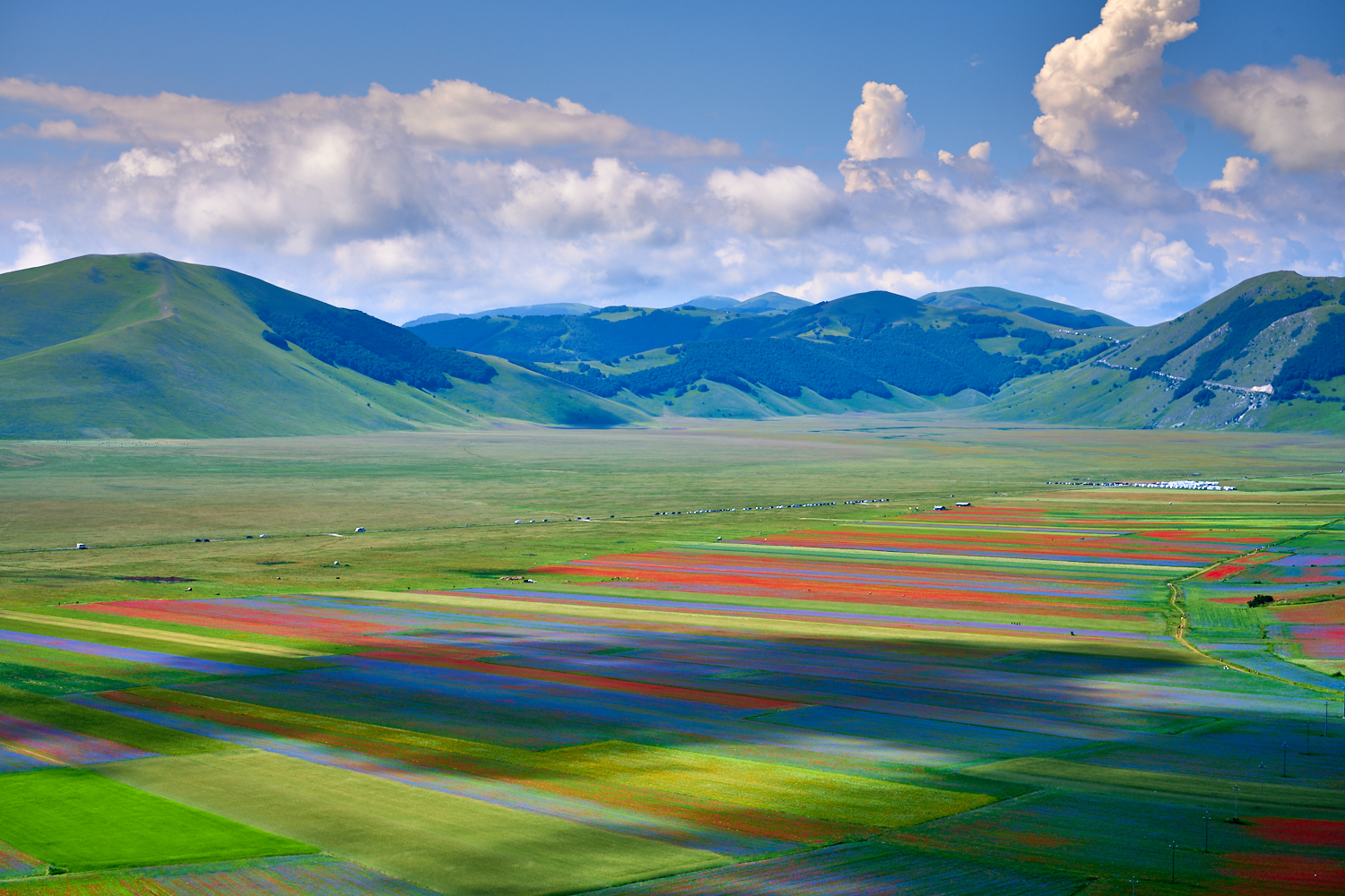 Castelluccio 2020
