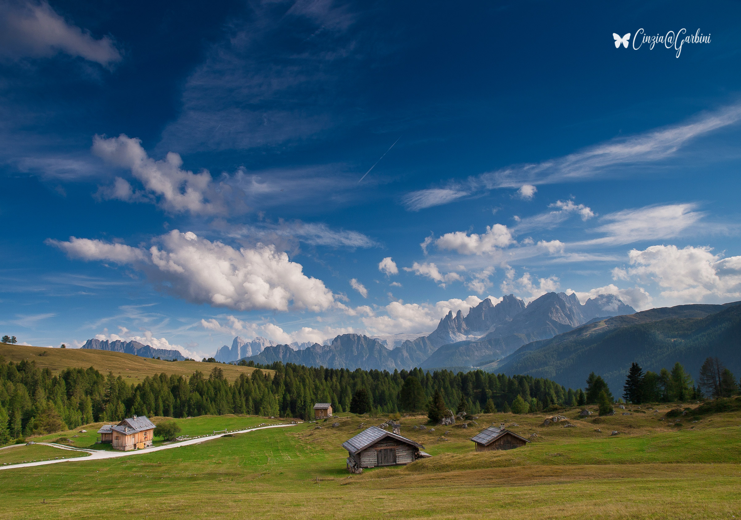 in the enchanted valley