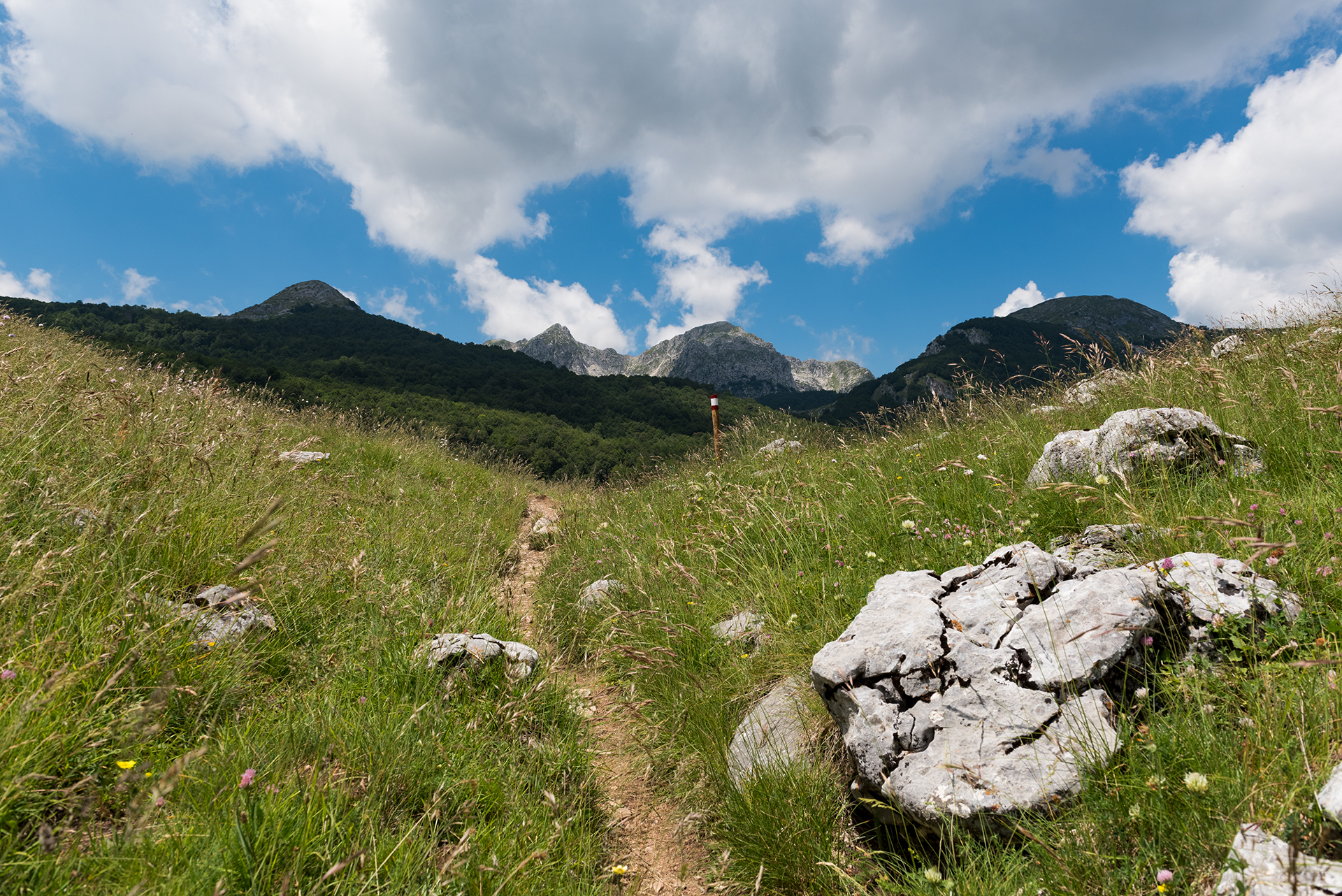 Un Tranquillo Mattino d'Estate - pnalm