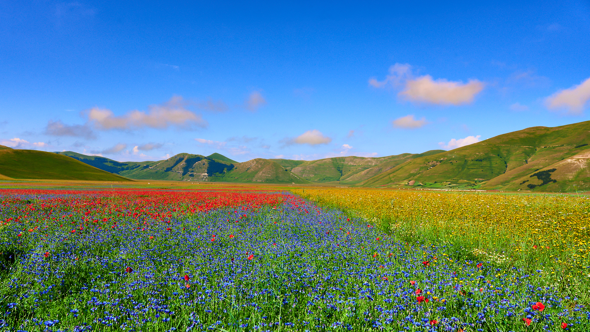 Castelluccio 2020