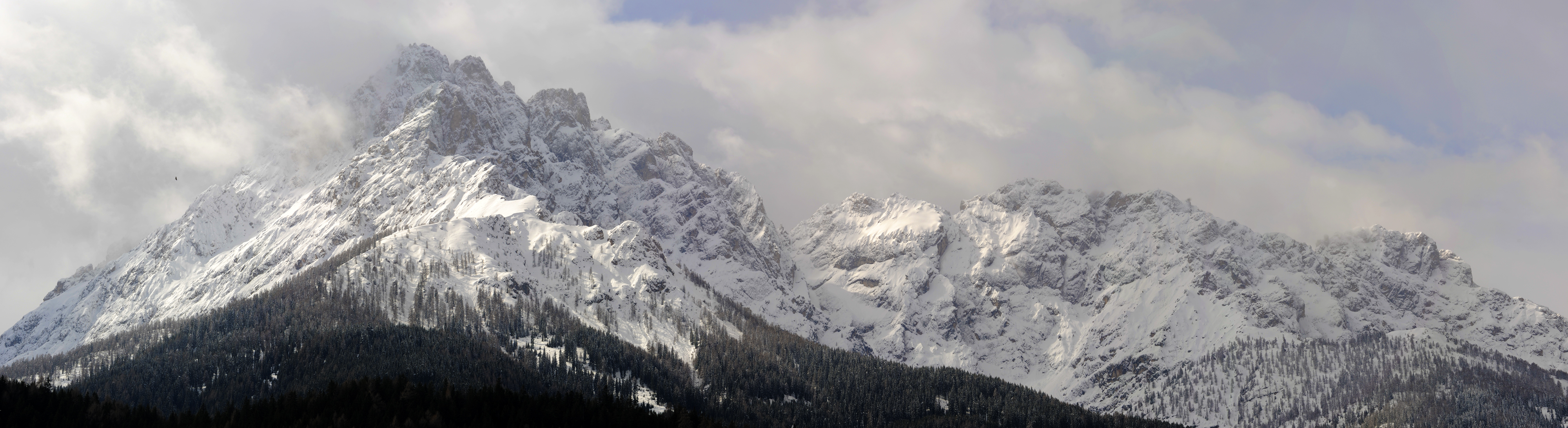 Adler in Sexten Sesto Dolomites Dolomites-Eagle