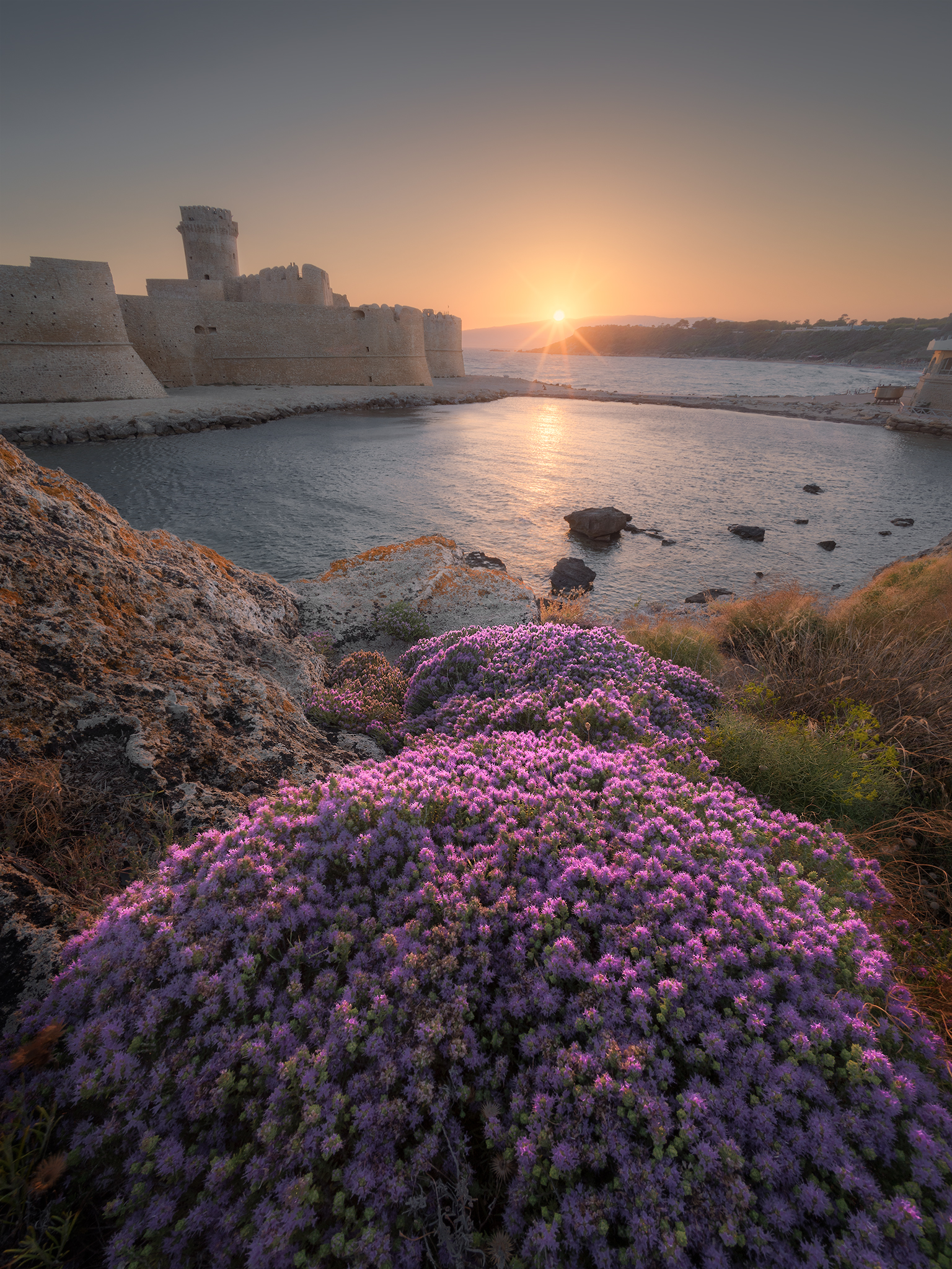 Le Castella, Fiori al tramonto