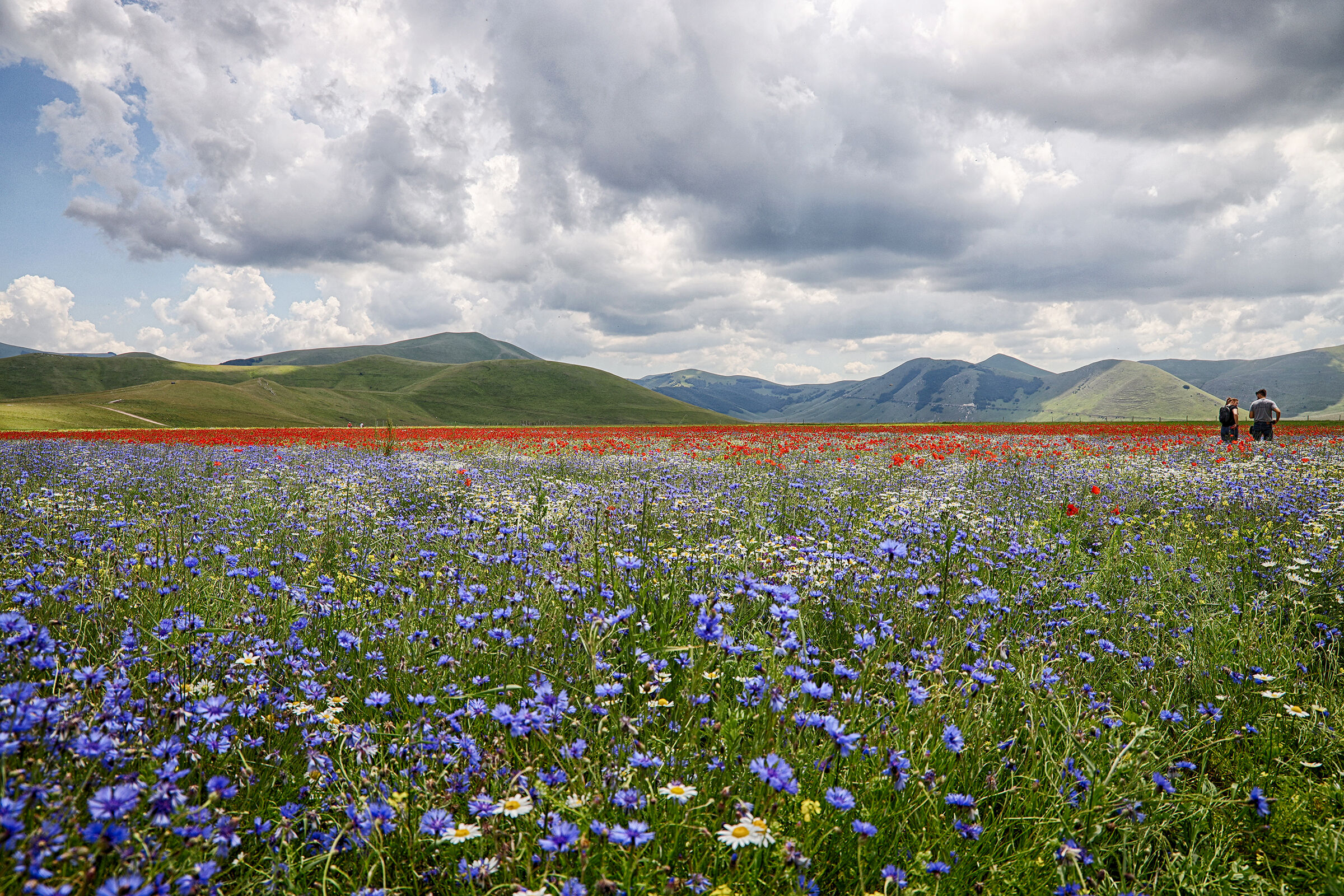 Castelluccio too..... despite the temòporal