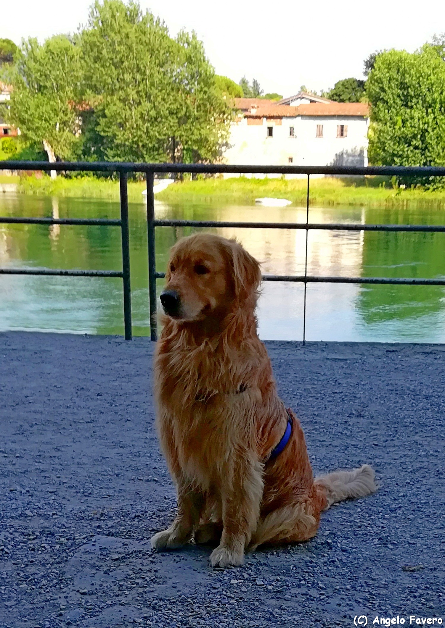 in attesa di ordini