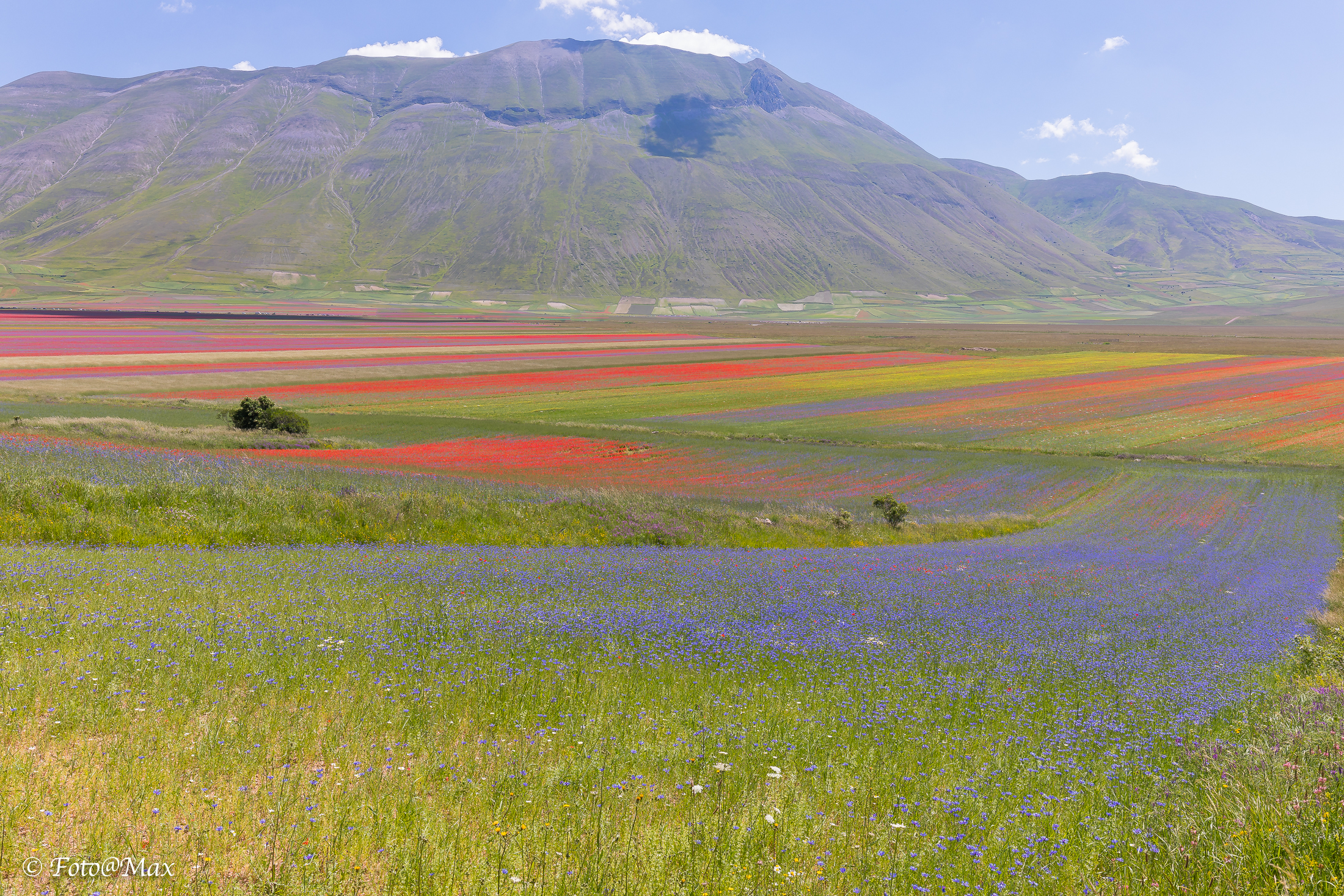 a brushstroke of blue
