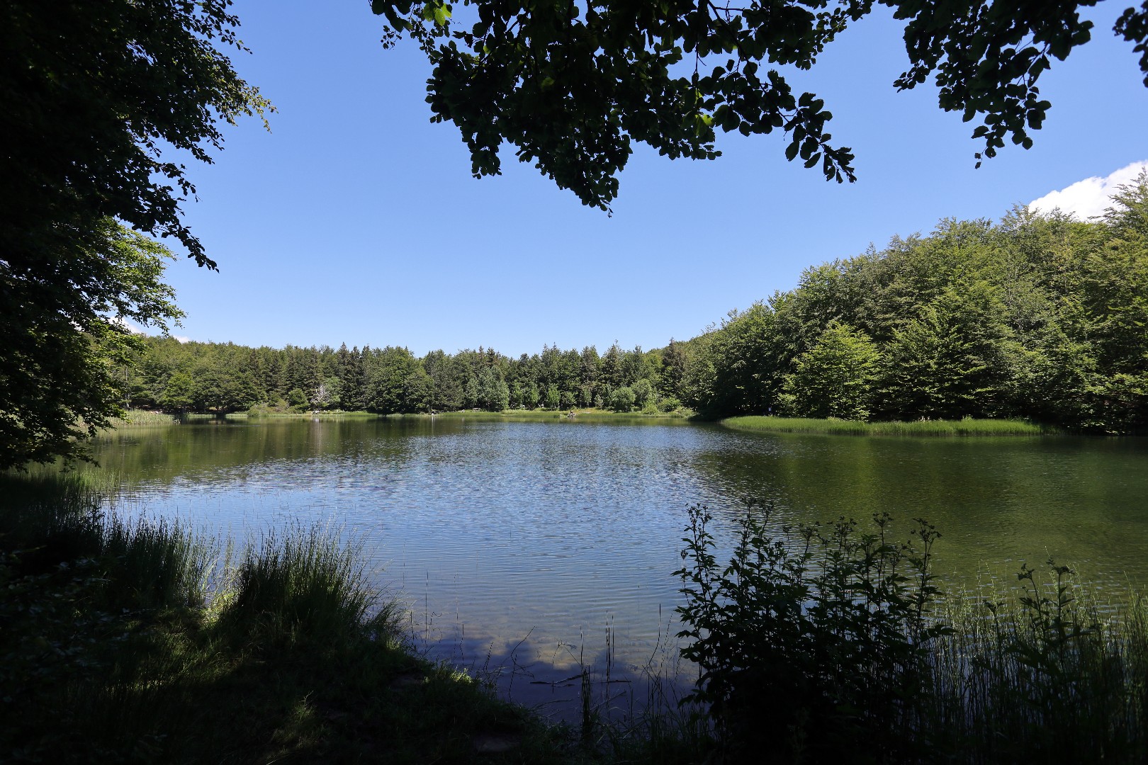 soligor 100-400 AF canon