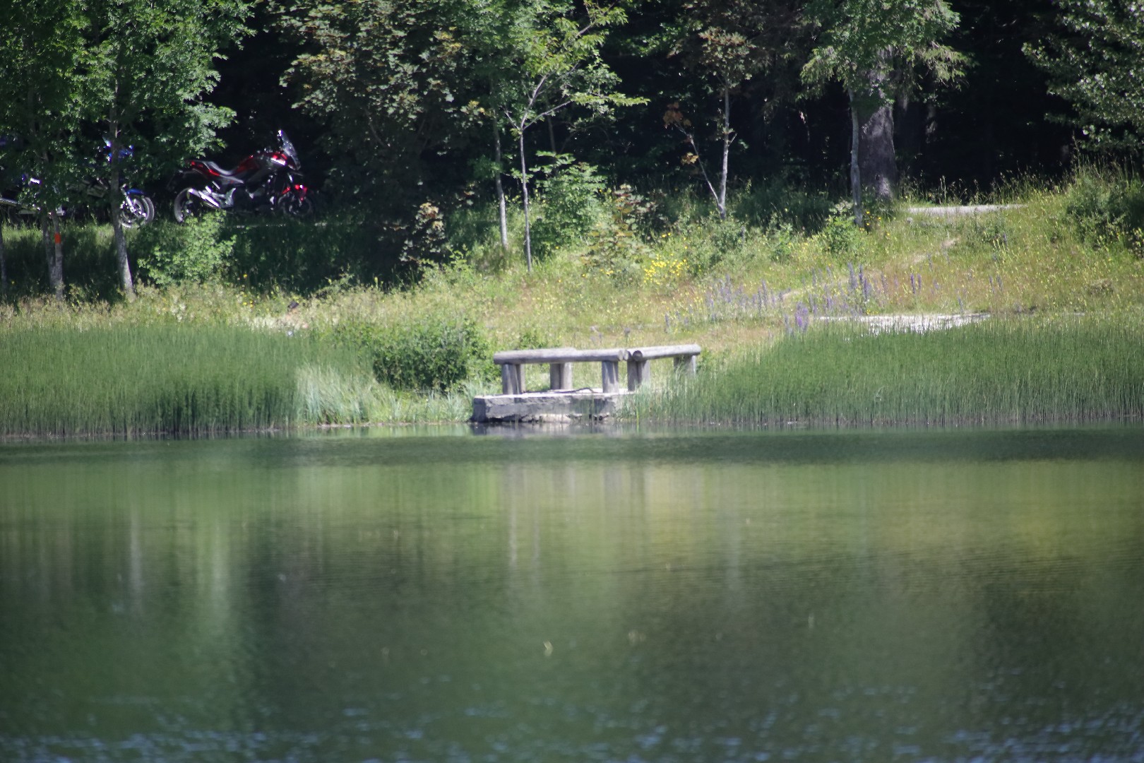 soligor 100-400 AF canon