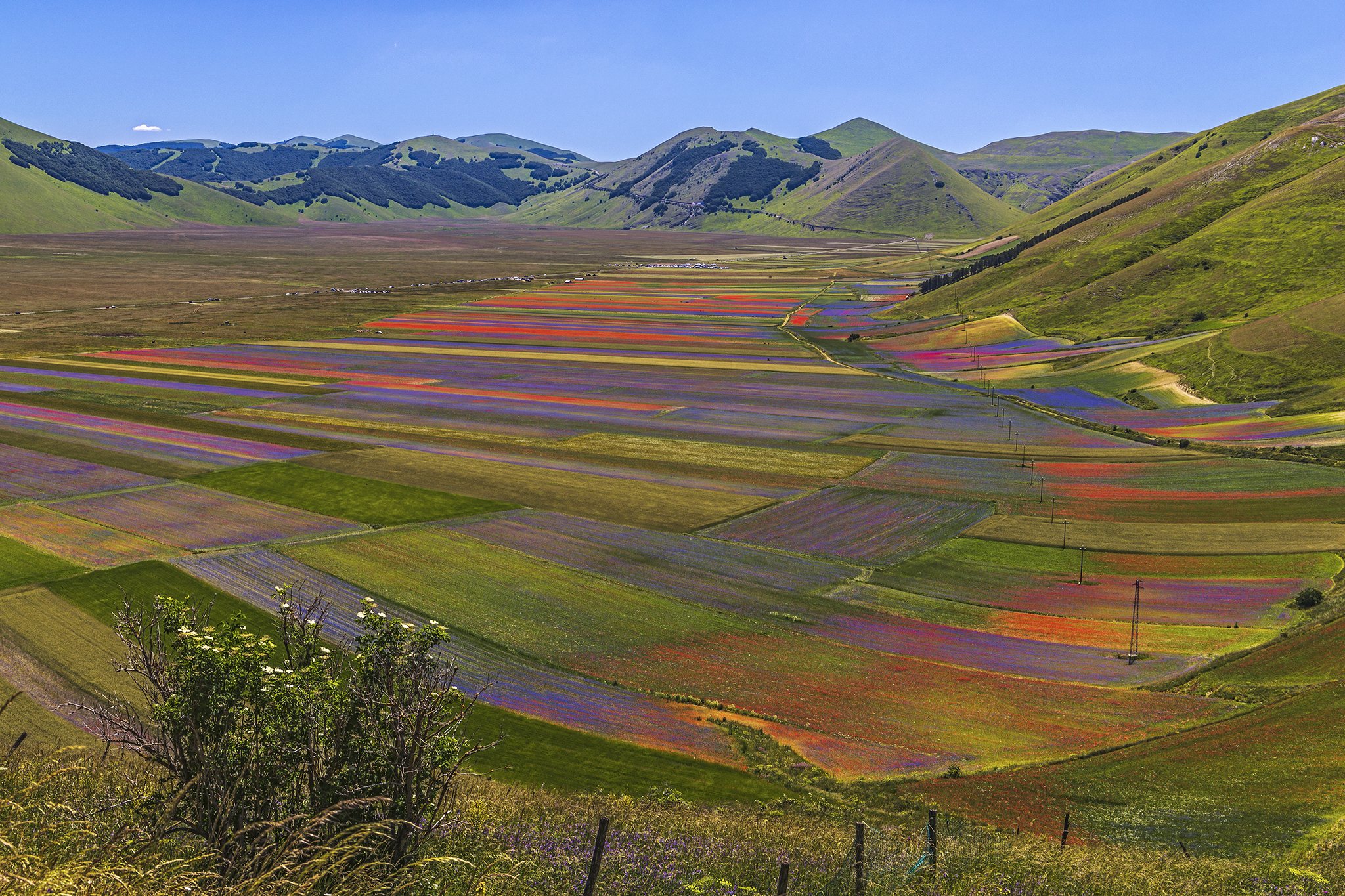 The painter's palette