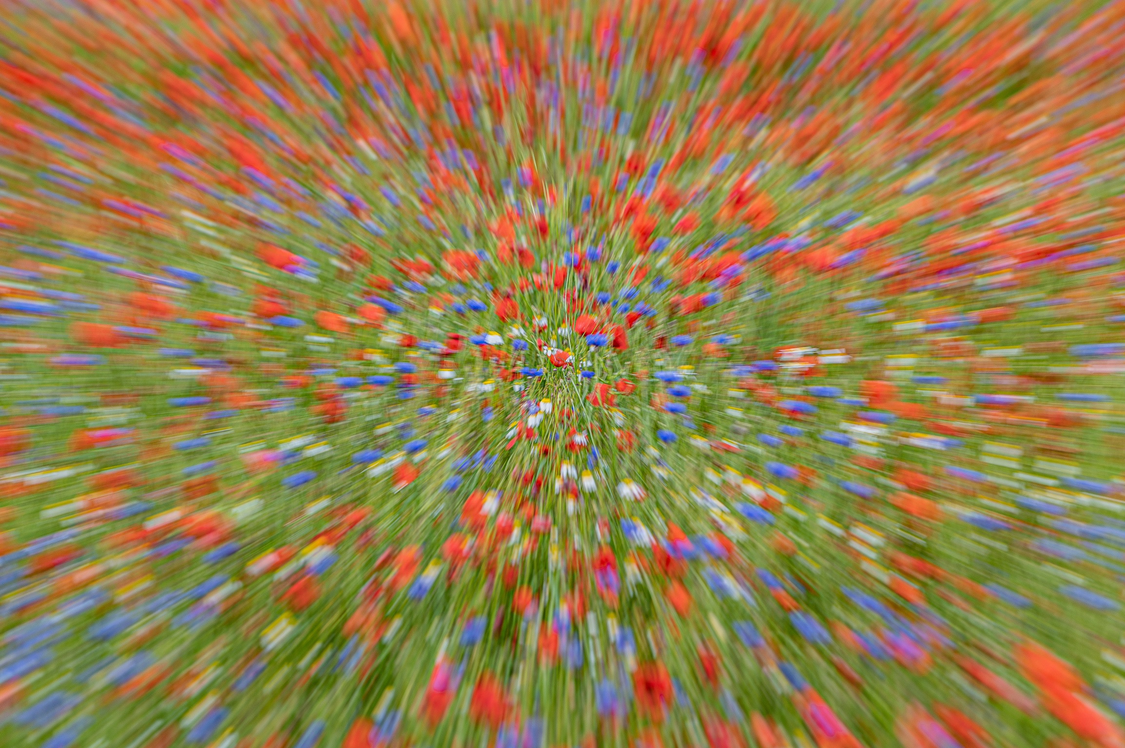 Zooming a Castelluccio...