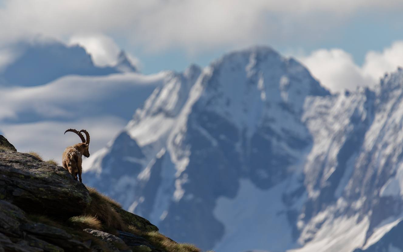 From the balcony of the Ibex....