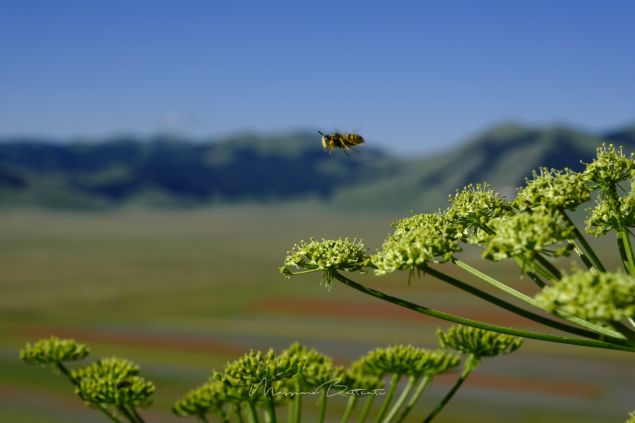 Castelluccio (Norcia)