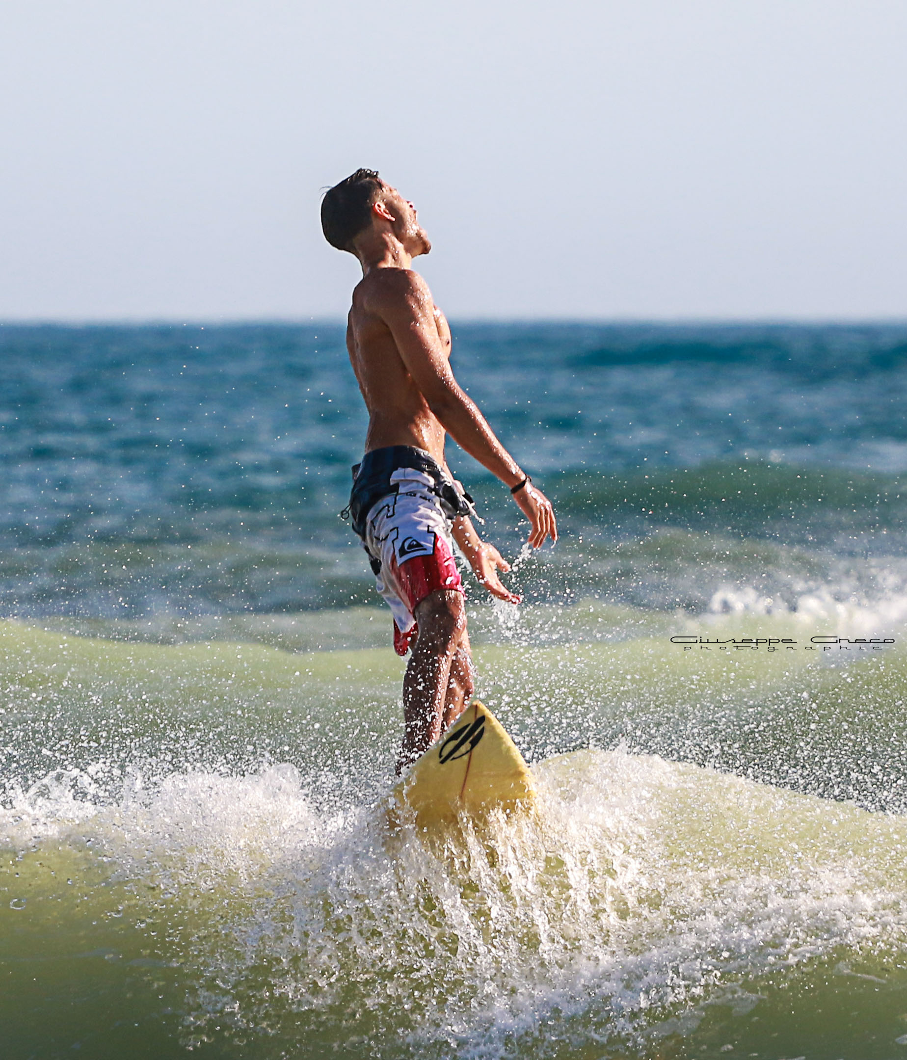 the scream of the surfer