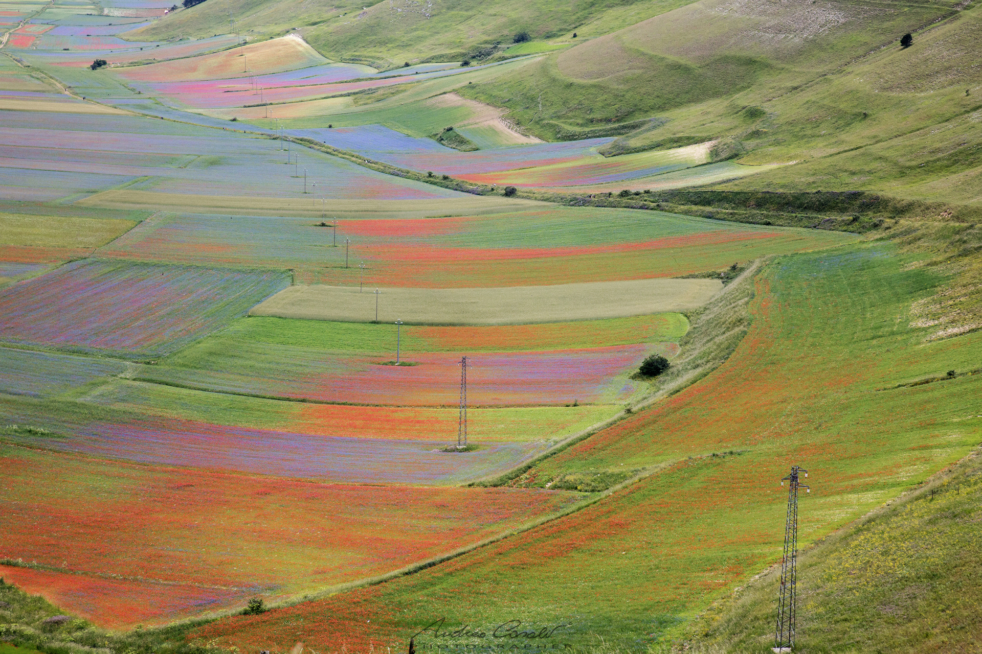 The colors of Castelluccio