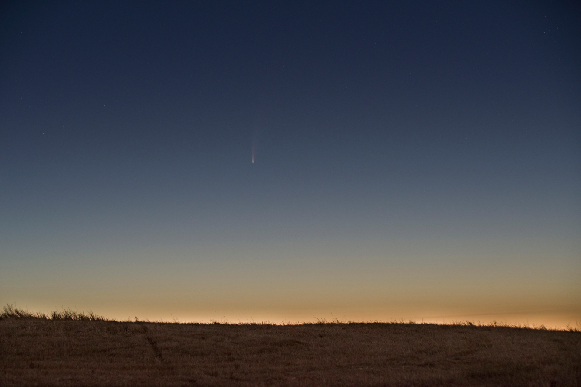 ...La cometa Neowise...